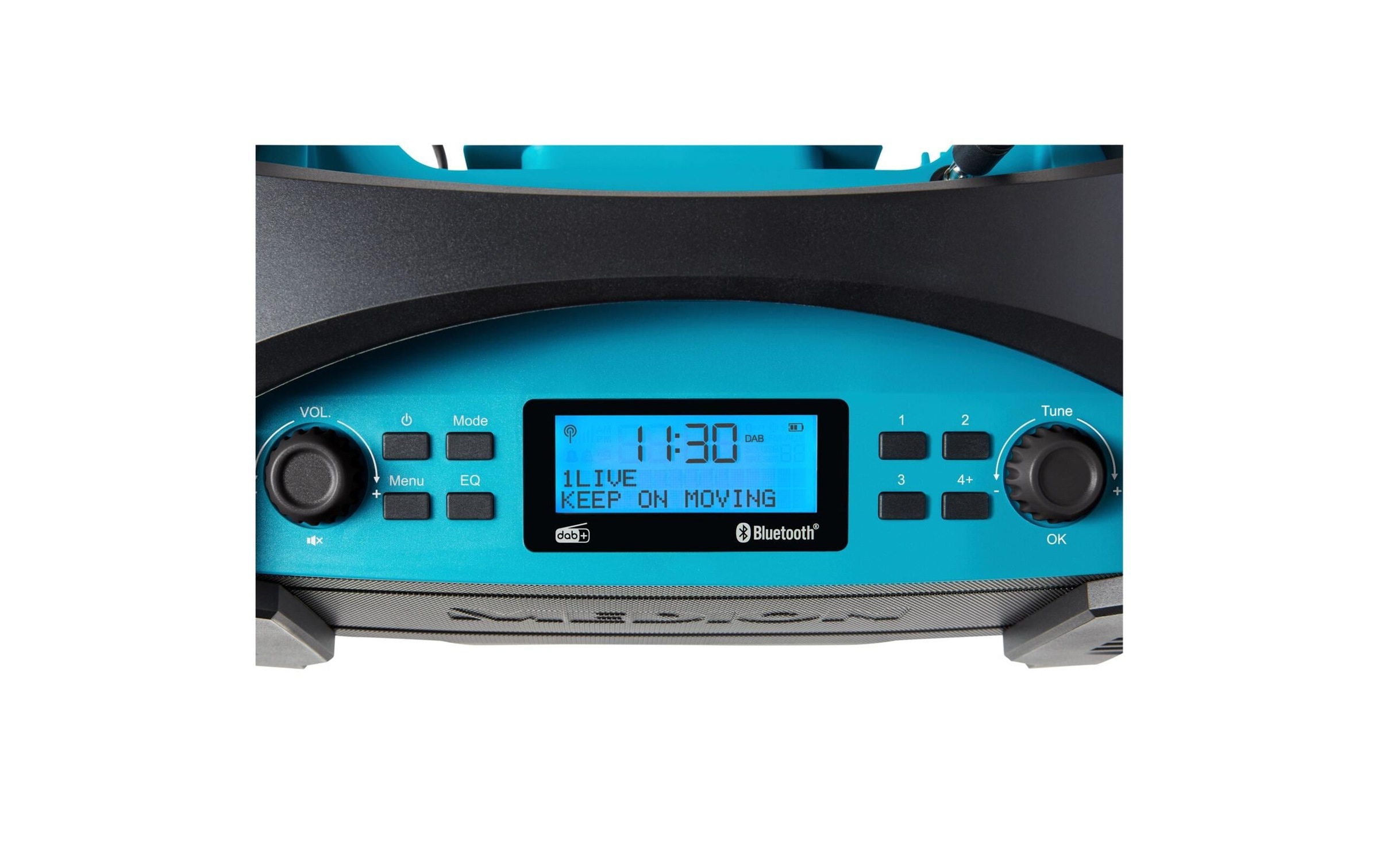 Medion® Baustellenradio »LIFE E66050 Blau«, (Bluetooth Digitalradio (DAB+)-FM-Tuner)