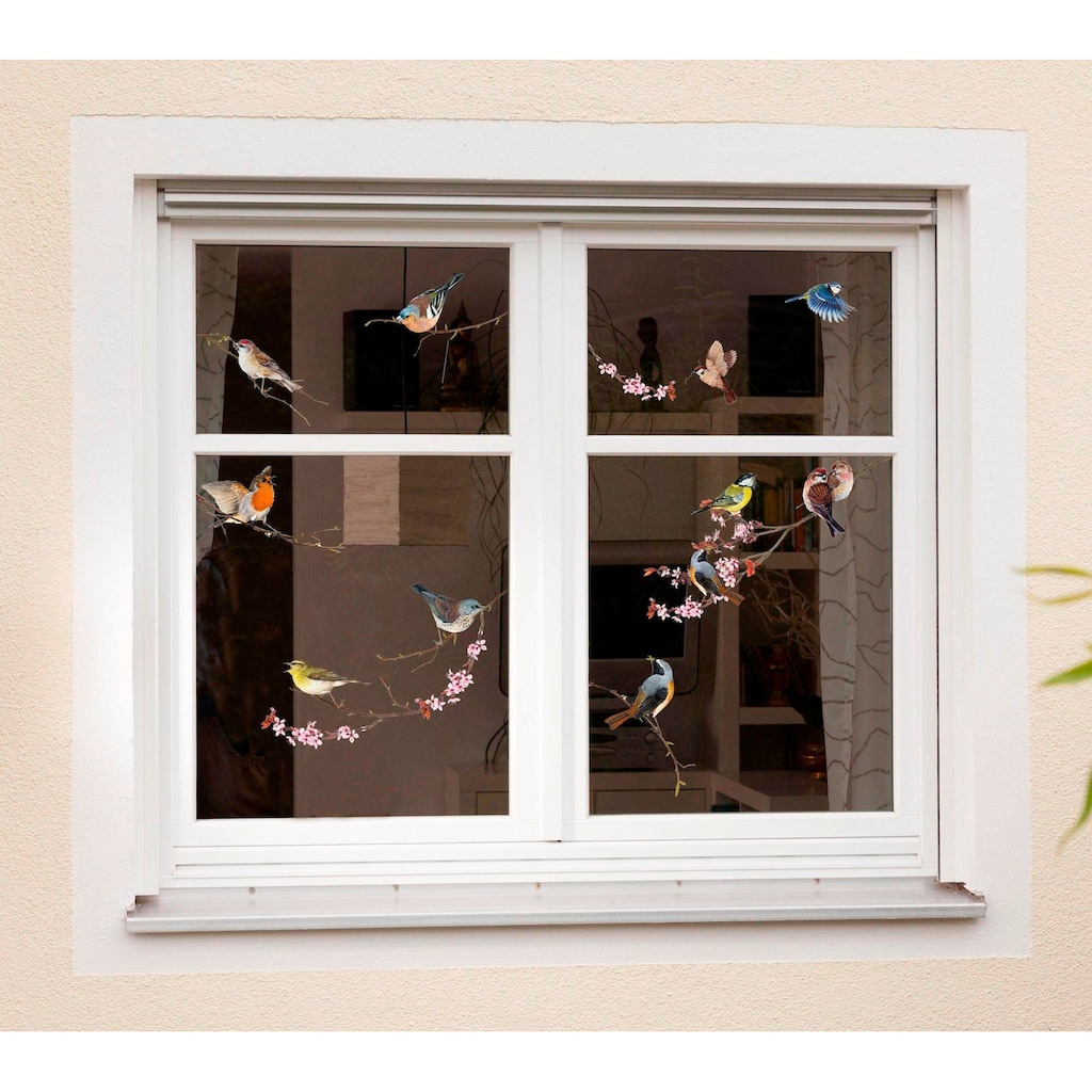 Komar Fensterbild »Vögel«