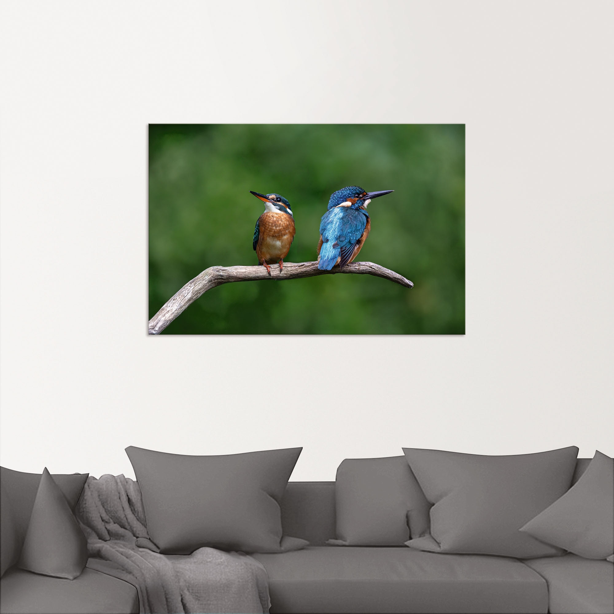 Artland Wandbild »Zwei Eisvogel«, Vogelbilder, (1 St.), als Alubild, Outdoorbild, Poster in verschied. Grössen