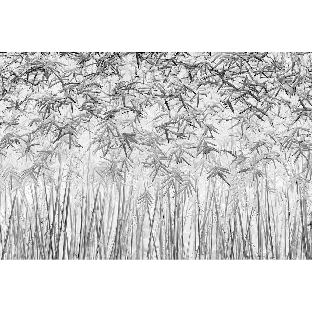 Papermoon Fototapete »Photo-Art JEFFLIN LING, PARALLELITÄT«