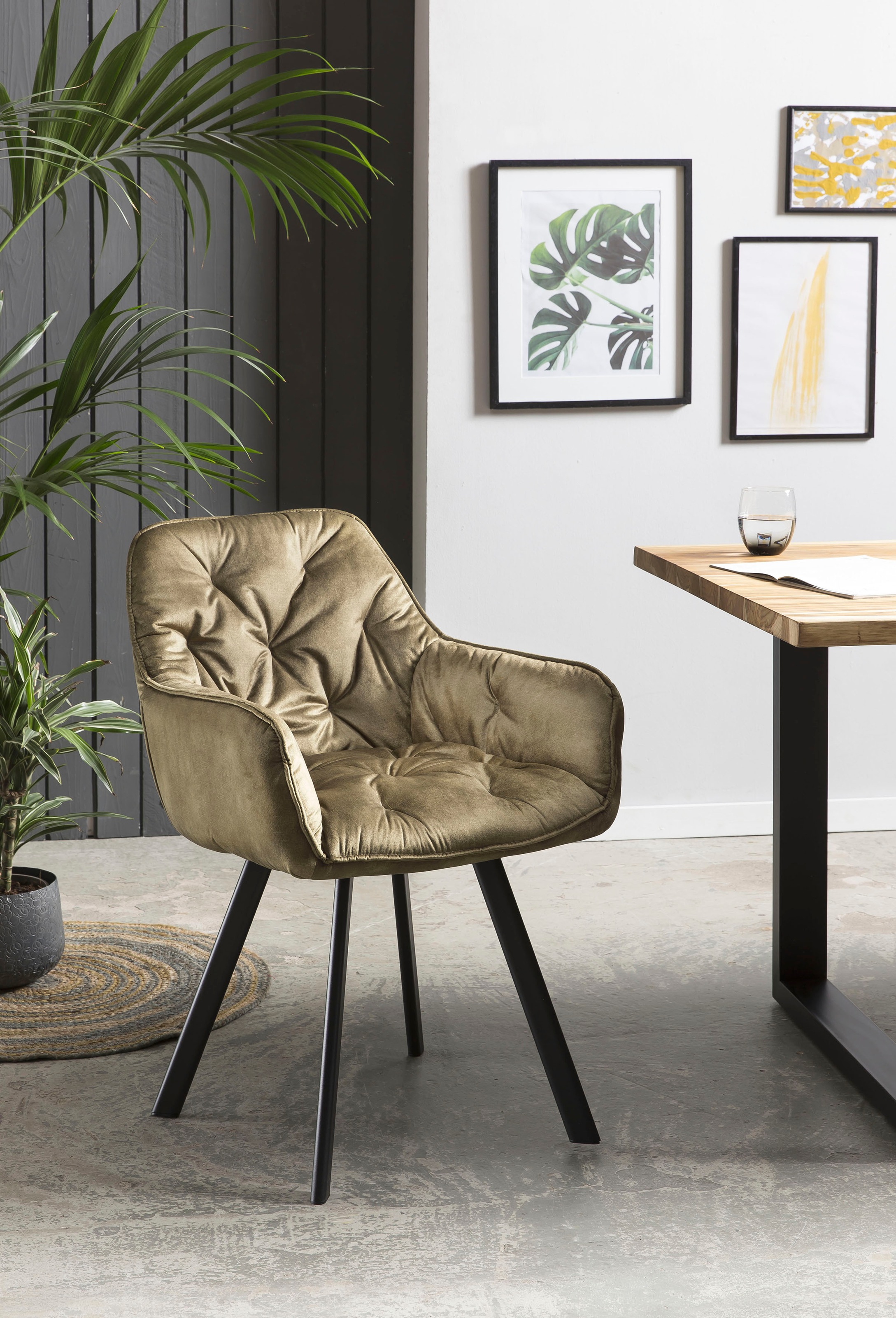 Image of SalesFever Armlehnstuhl, (Set), 2 St., Samtvelours bei Ackermann Versand Schweiz