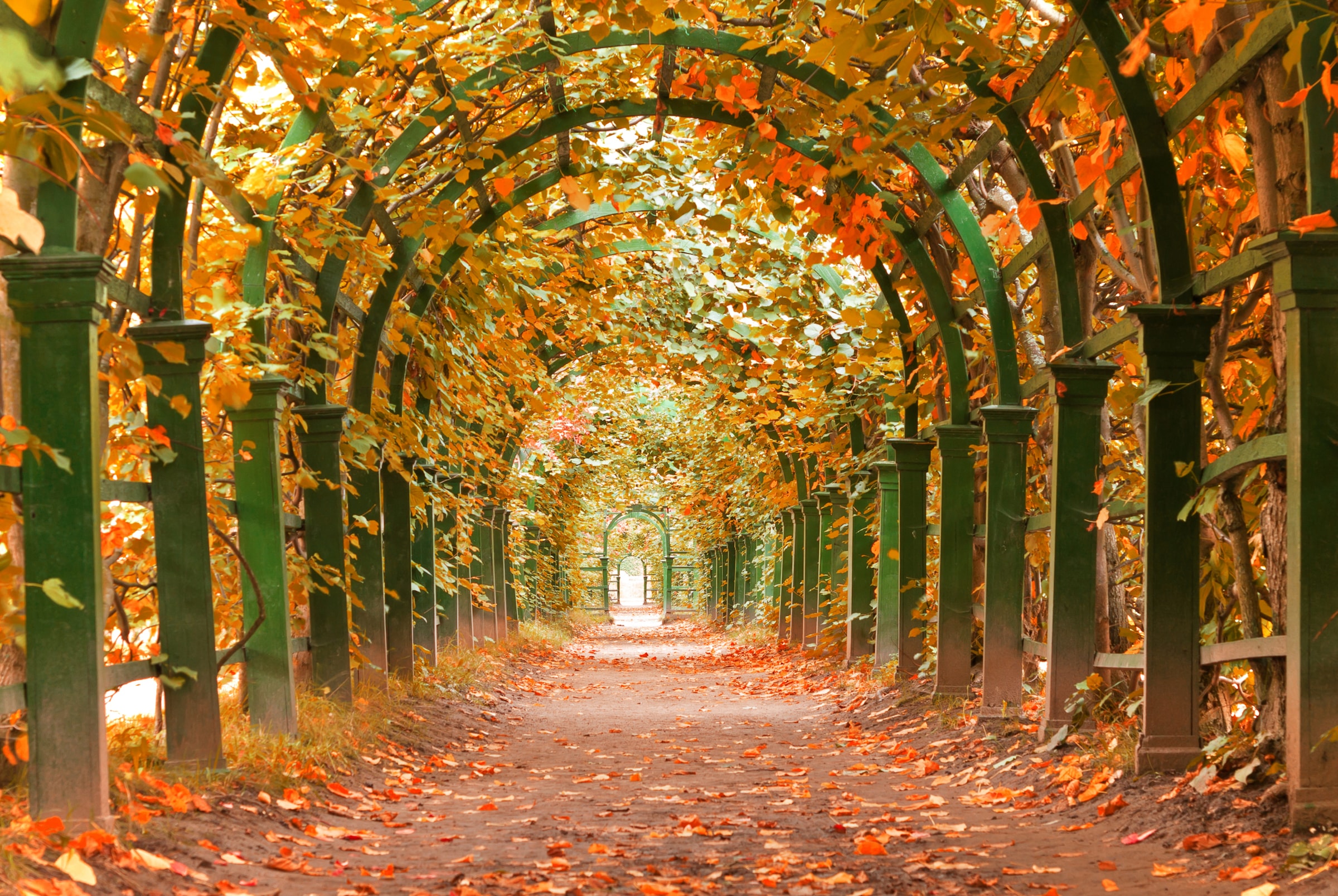 Image of Papermoon Fototapete "Autumn Garden" glatt