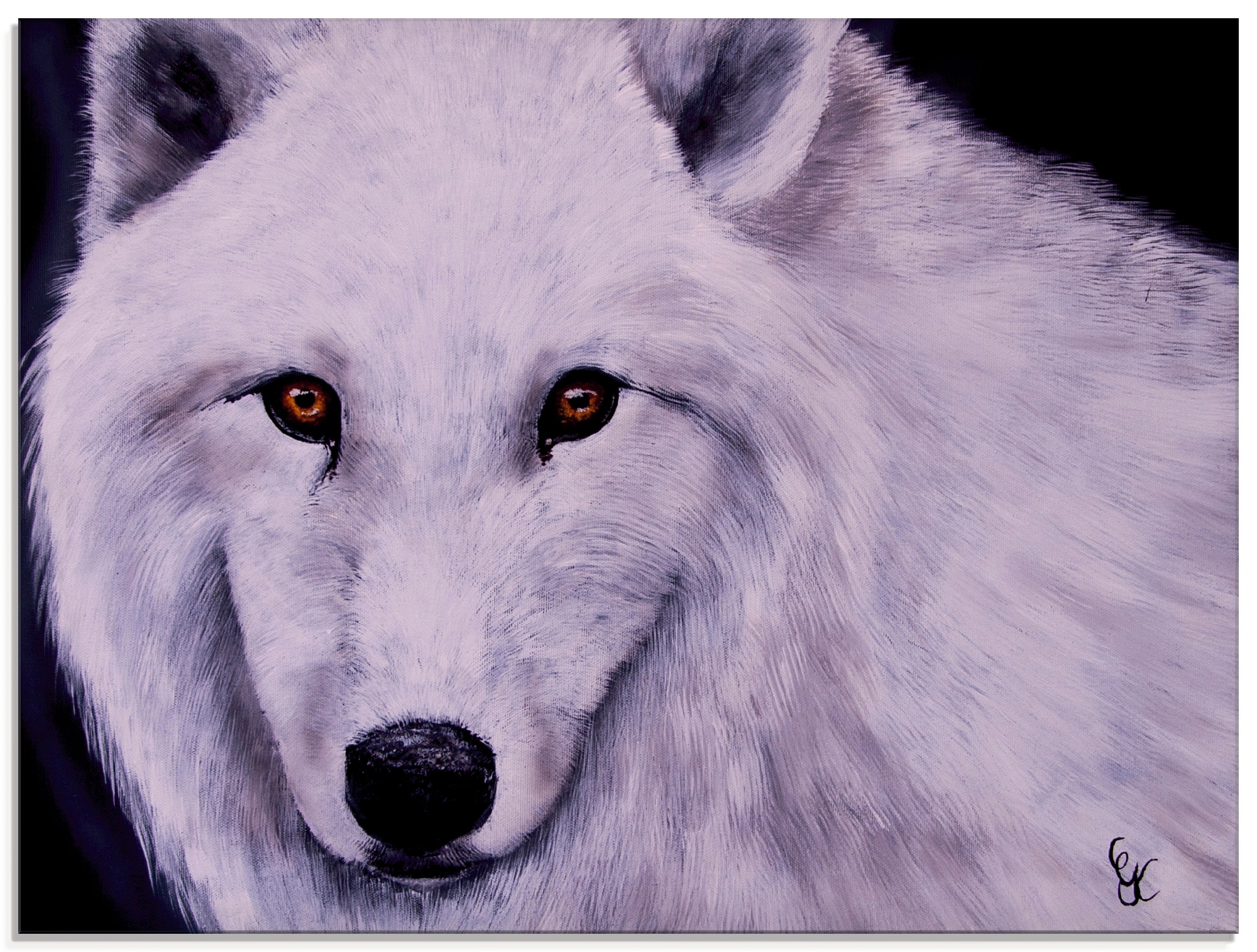 Image of Artland Glasbild "Weisser Wolf" Wildtiere 1 Stk. tlg. in verschiedenen Grössen