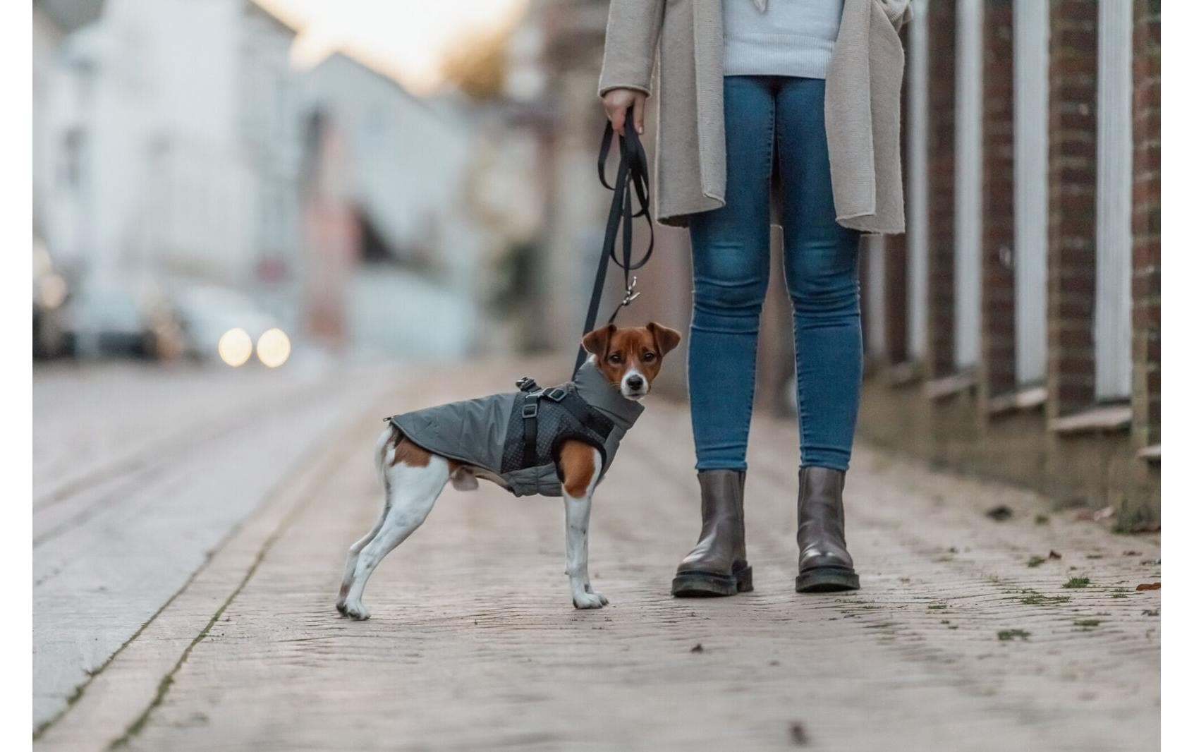 TRIXIE Tiermantel »Pontis Reflect« Polyester Wattierter und vollreflektierender Hundemantel
