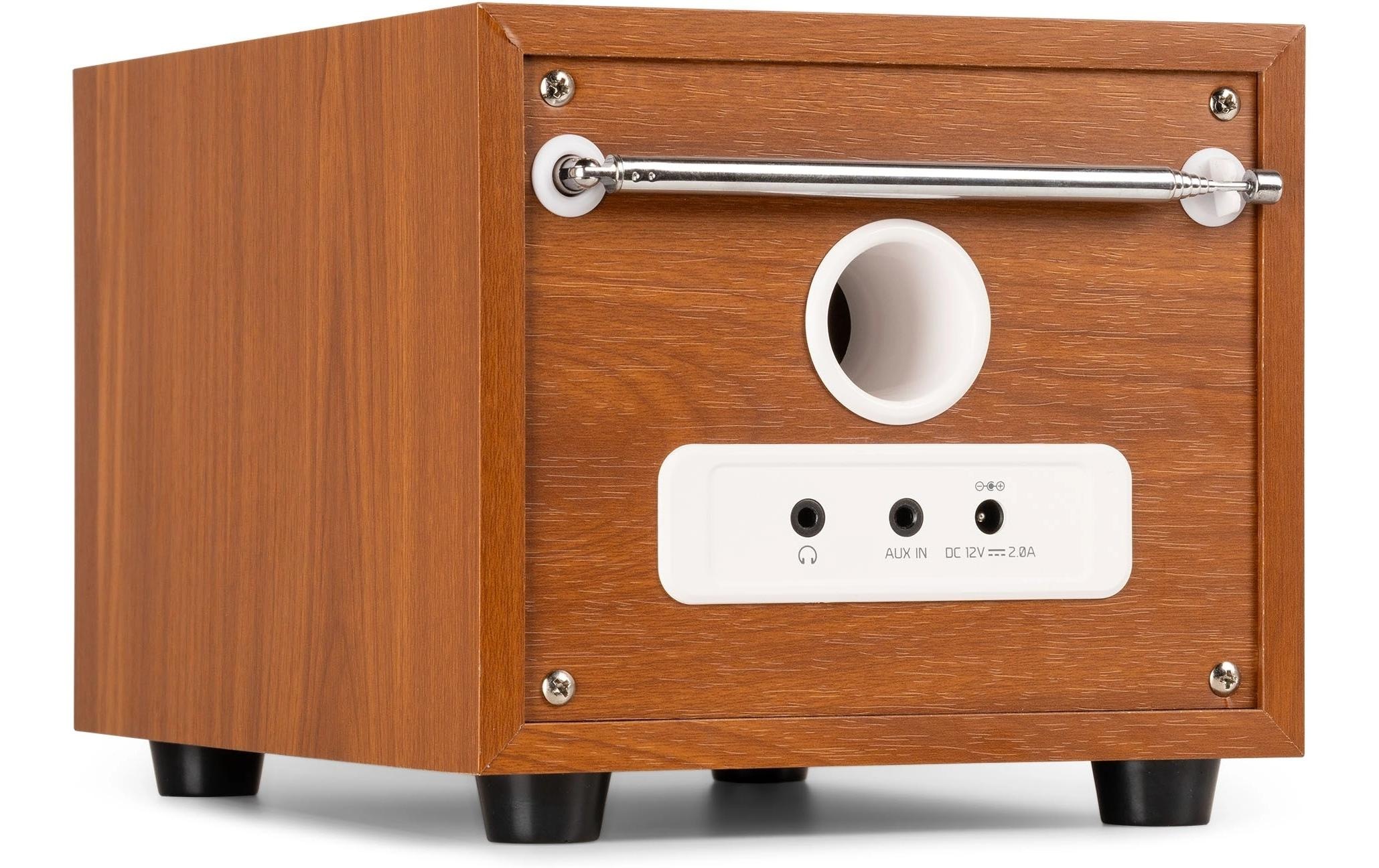 AUDIZIO Digitalradio (DAB+) »Vieste«, (Digitalradio (DAB+)-FM-Tuner)