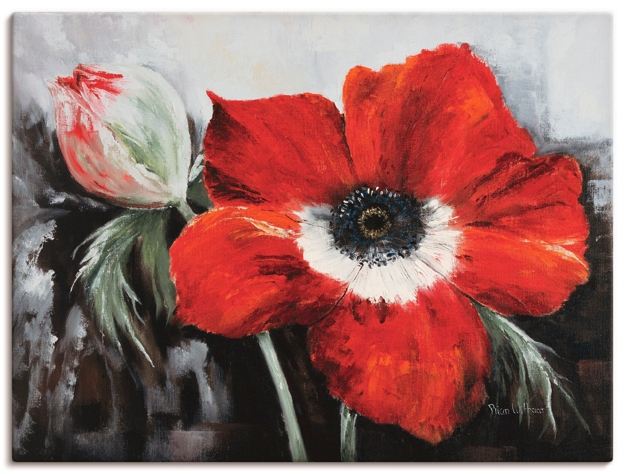 Image of Artland Leinwandbild "Mohnblumen in voller Blüte" Blumen 1 Stk. tlg. auf Holzrahmen gespannt