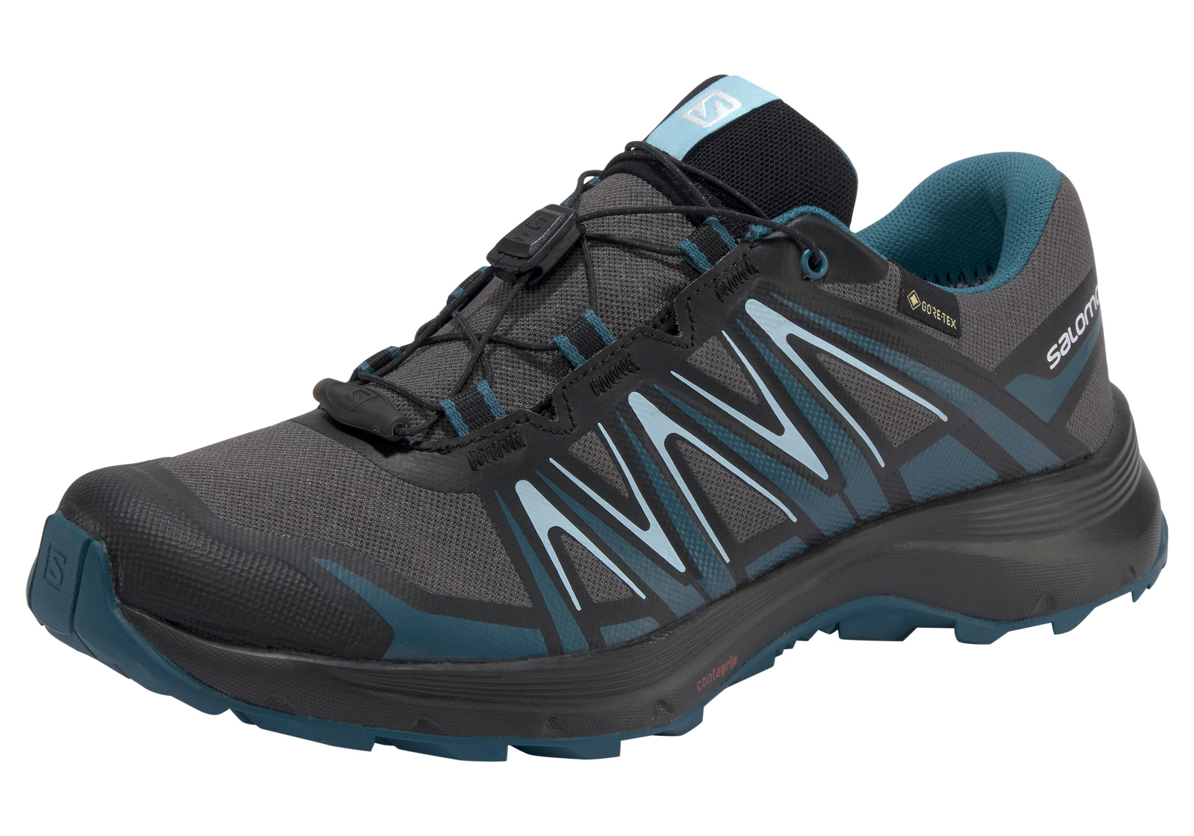 Image of Salomon Wanderschuh »XA Sierra Gore-Tex® W«, wasserdicht bei Ackermann Versand Schweiz