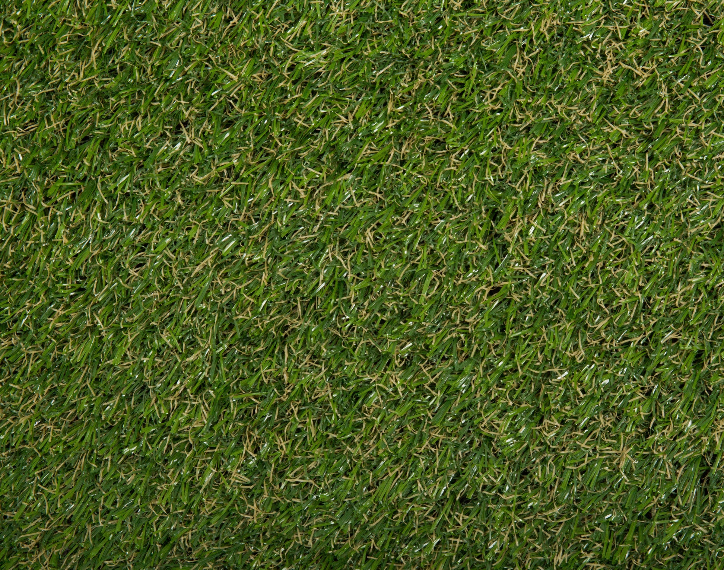 Image of Andiamo Kunstrasen »Arcadia«, rechteckig, 22 mm Höhe, Meterware, Rasenteppich, Premium Qualität, weicher Flor bei Ackermann Versand Schweiz