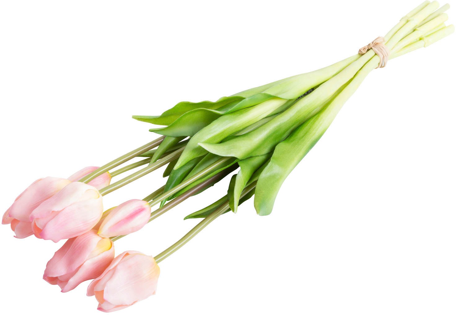 my home Plante artificielle »Maiva« Tulpenbündel im 7er-Set