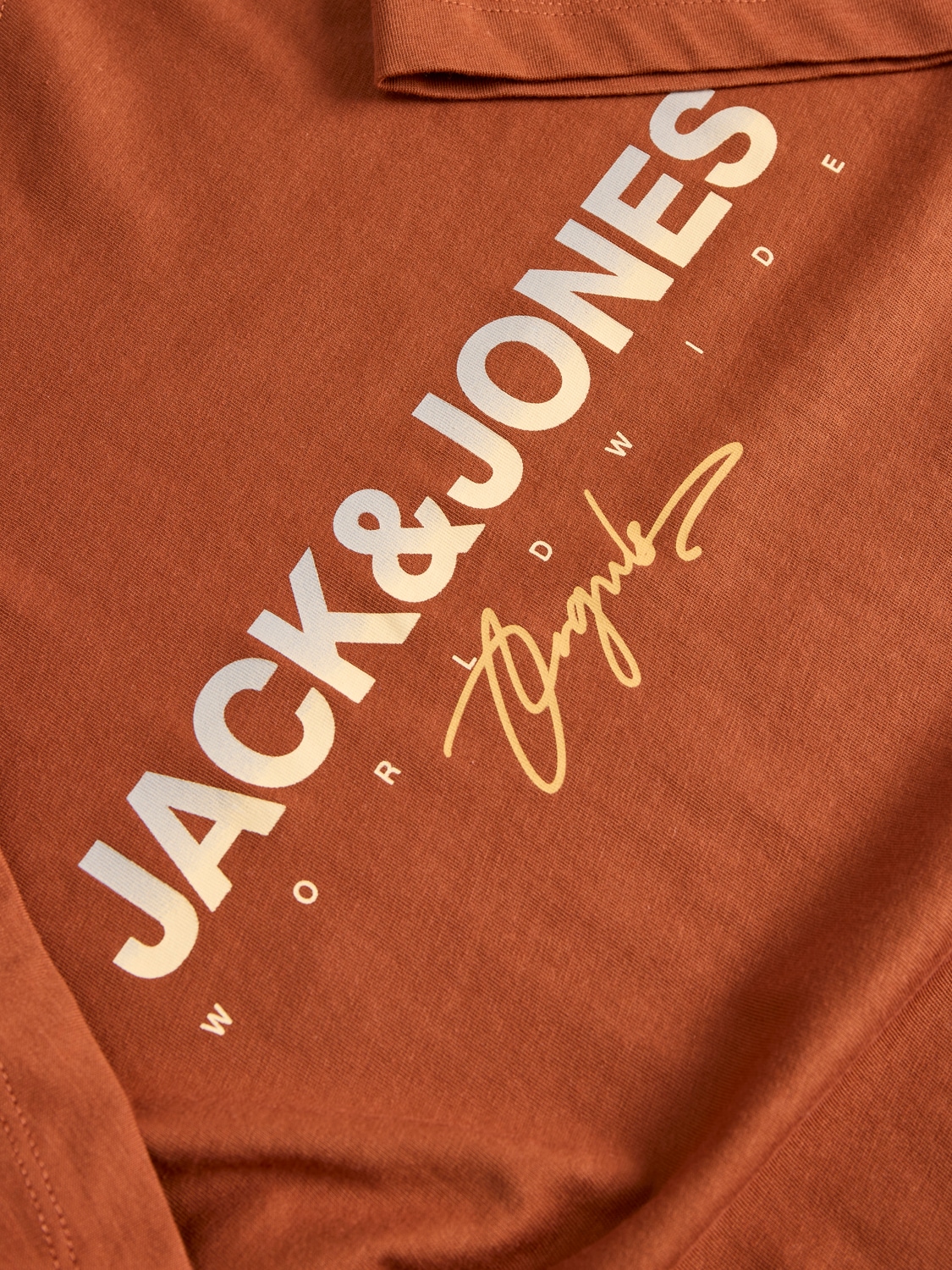 Jack & Jones Print-Shirt »JORCANGGU TEE SS CREW NECK FST«, mit Logoprint