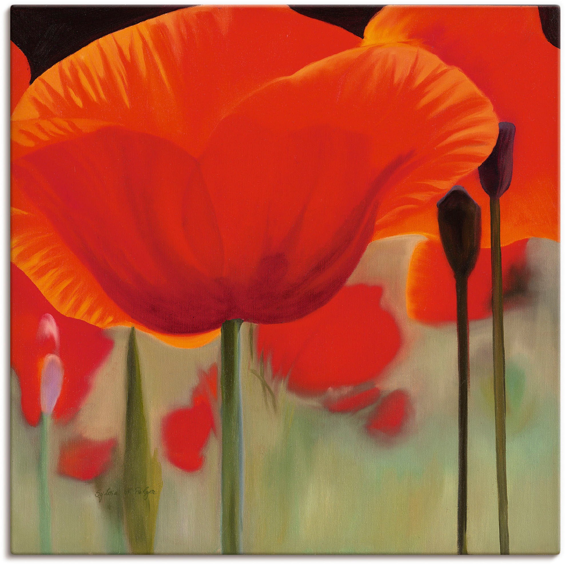 Image of Artland Wandbild »Leben«, Blumen, (1 St.), in vielen Grössen & Produktarten - Alubild / Outdoorbild für den Aussenbereich, Leinwandbild, Poster, Wandaufkleber / Wandtattoo auch für Badezimmer geeignet bei Ackermann Versand Schweiz