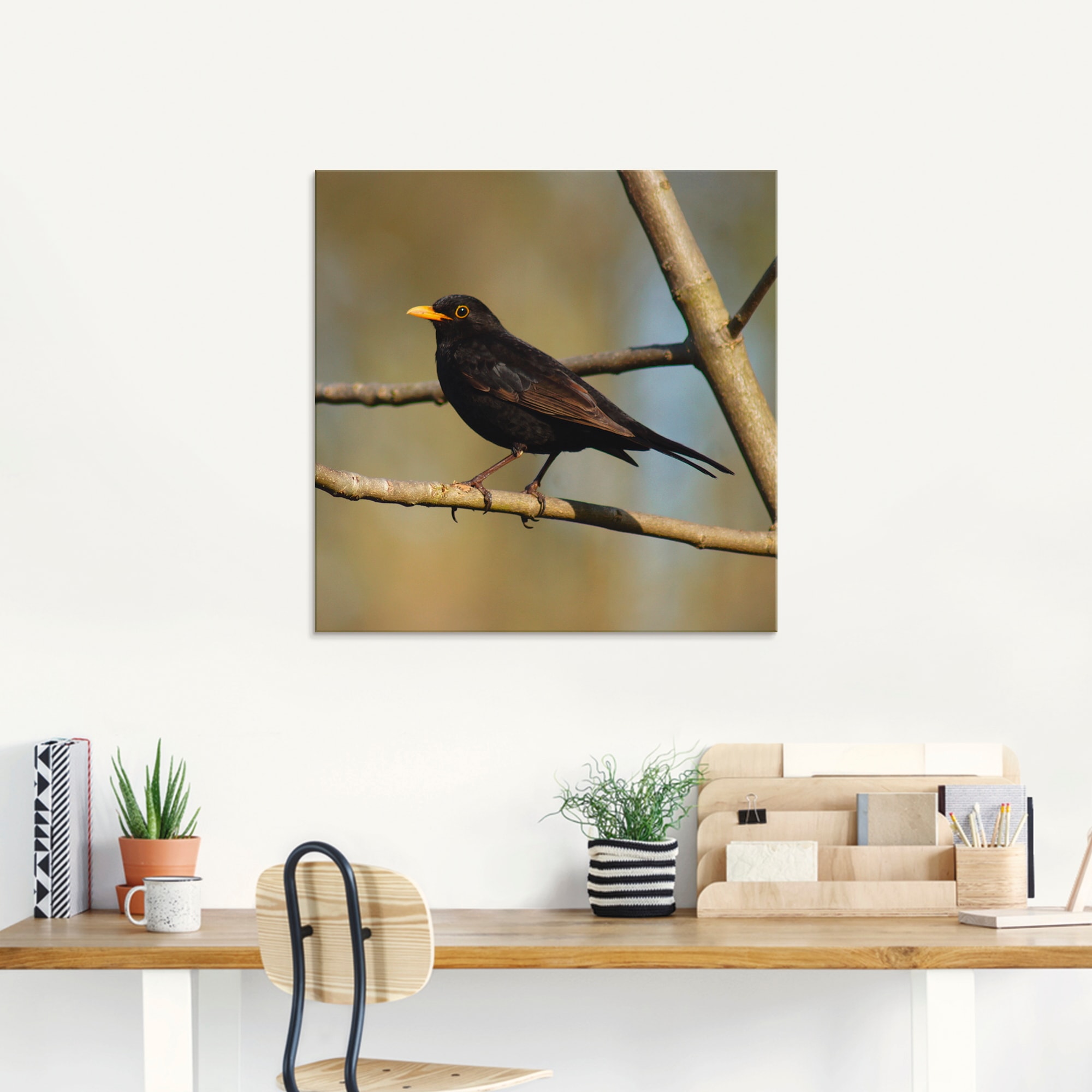 Artland Glasbild »Amsel«, Vögel, (1 St.), in verschiedenen Grössen