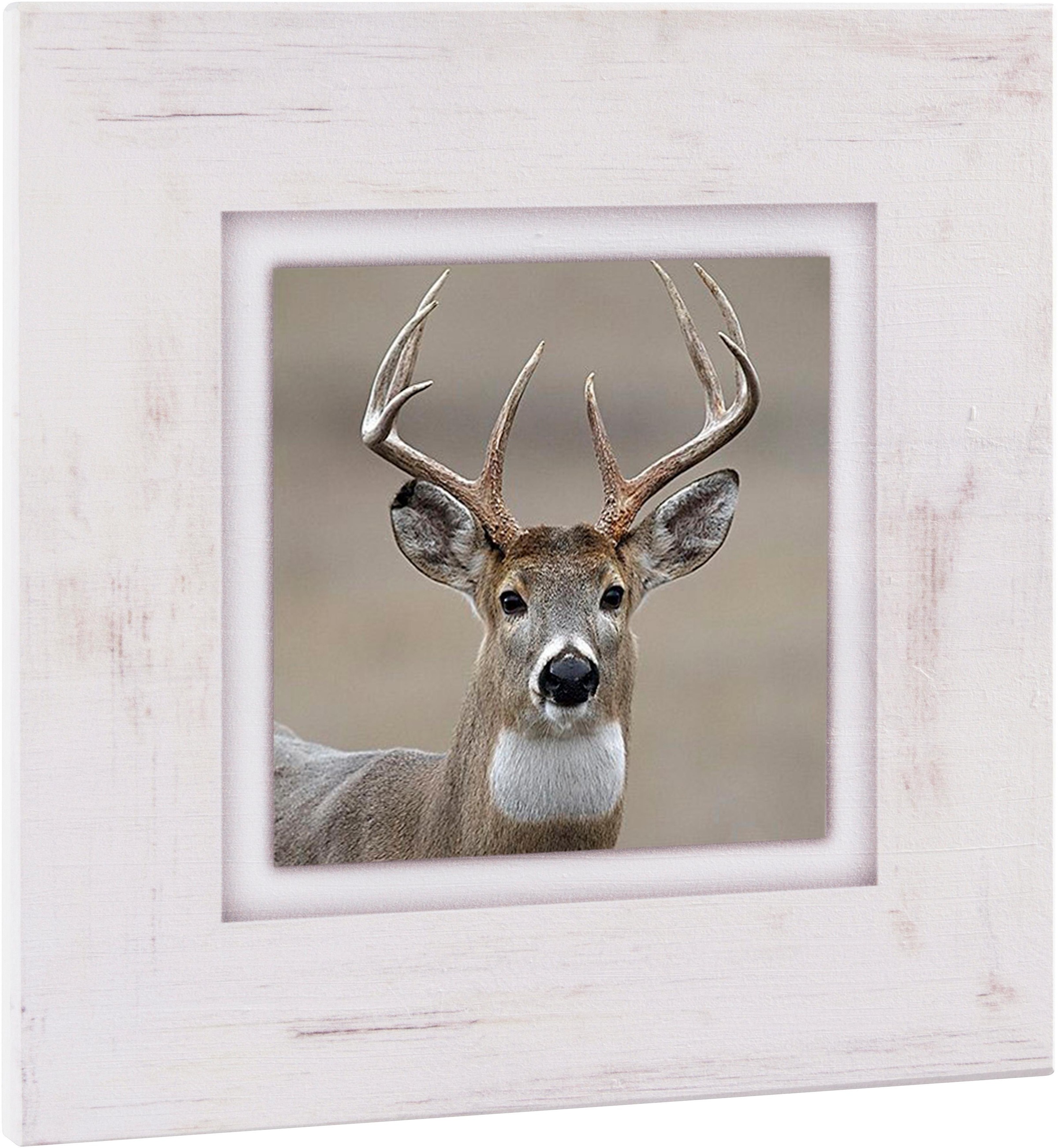 Image of Home affaire Holzbild »Hirsch«, 40/40 cm bei Ackermann Versand Schweiz