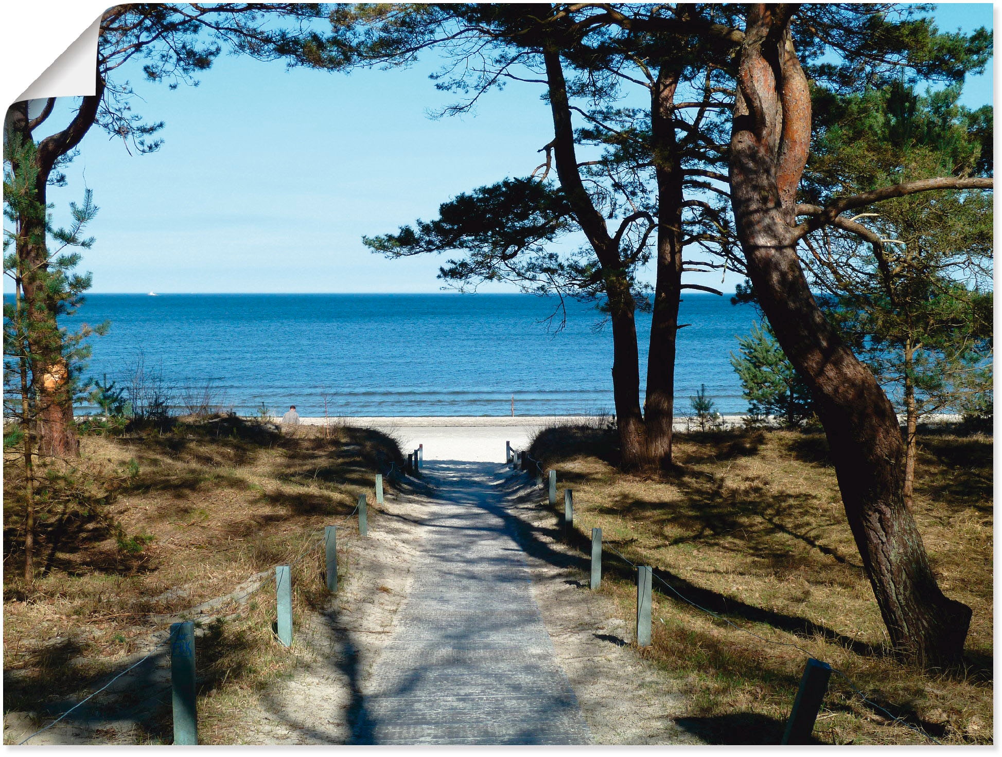 Artland Wandbild »schöne Ostseeküste«, Gewässer, (1 St.), als Leinwandbild,  Wandaufkleber oder Poster in versch. Grössen kaufen