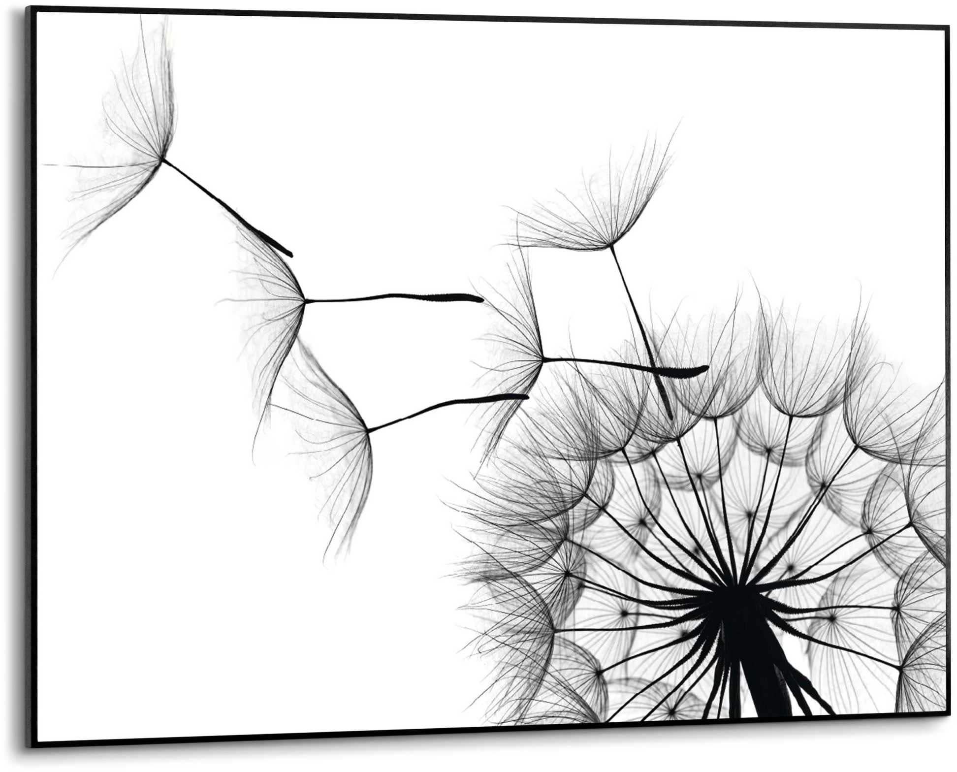 Reinders! Wandbild »Slim Frame Black 50x70 Dandelion«