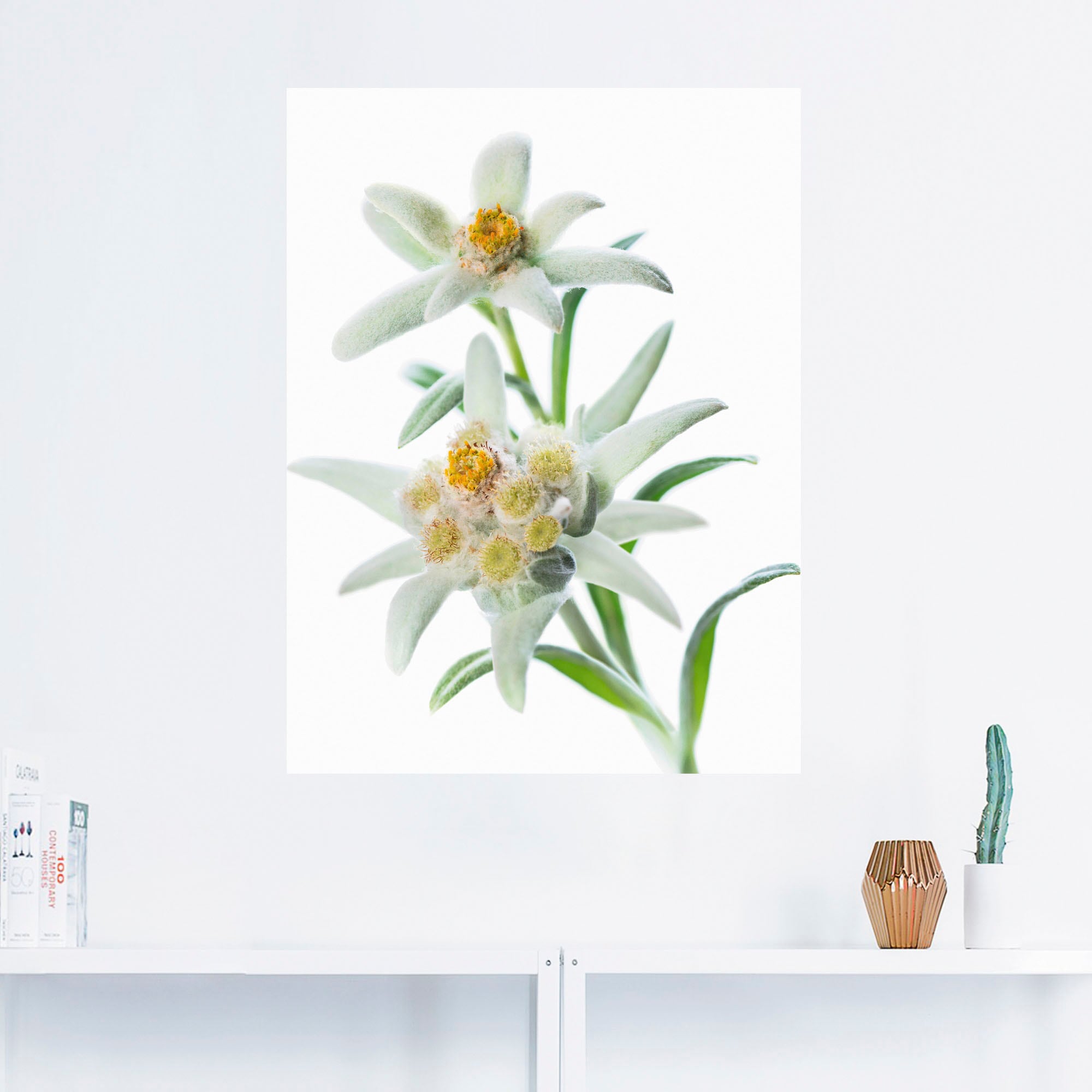 Artland Wandbild »Edelweiss«, Blumen, (1 St.), als Poster, Wandaufkleber in verschied. Grössen