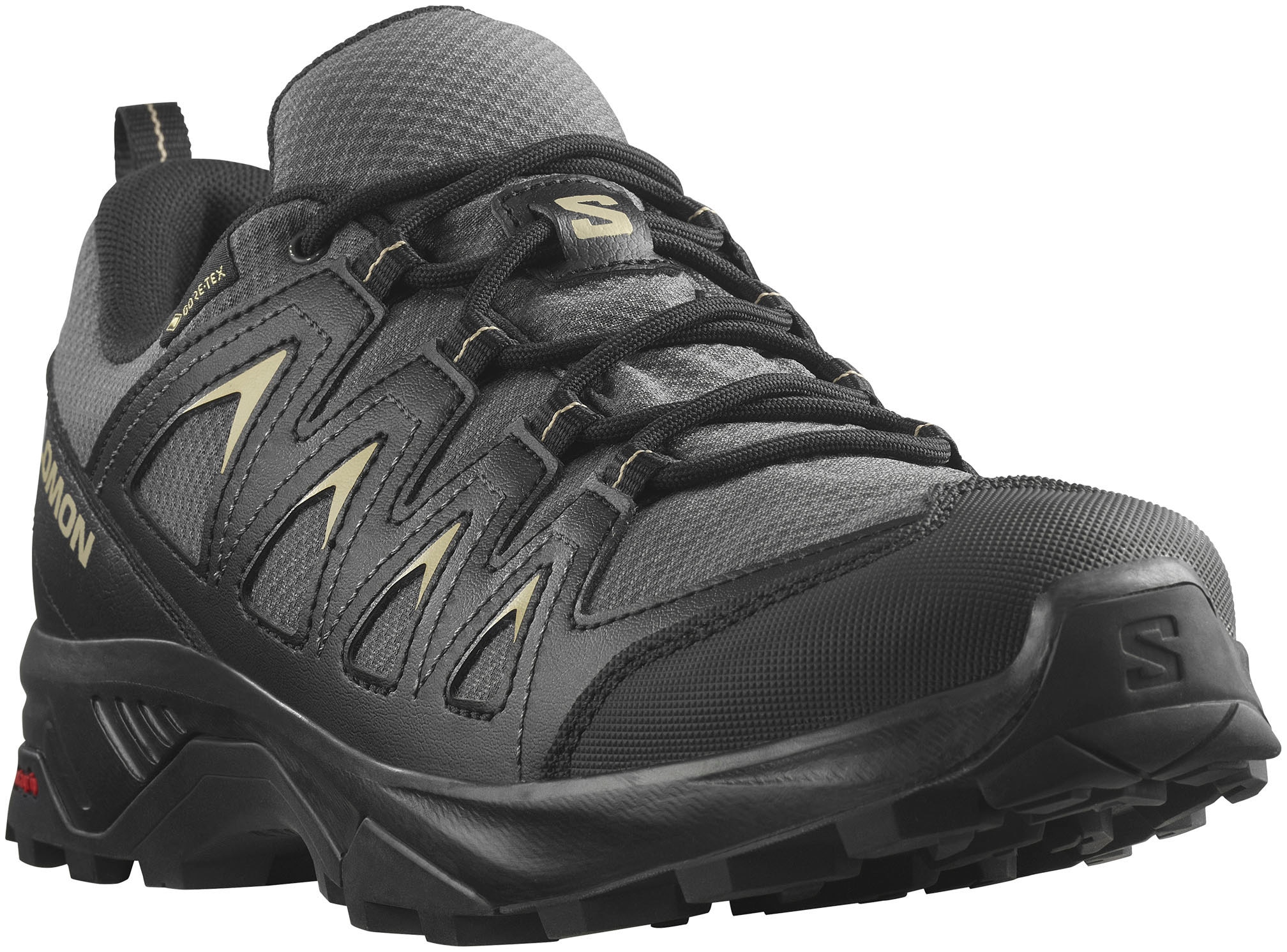 Salomon Wanderschuh »X BRAZE GORE-TEX«, wasserdicht