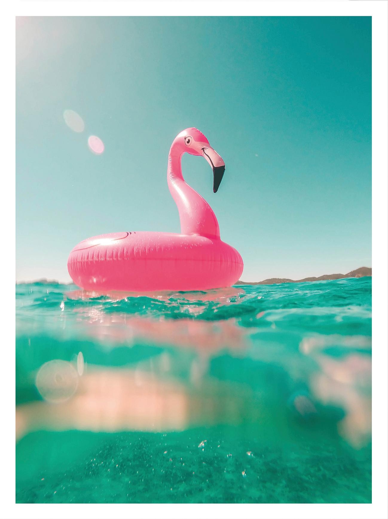 Poster »Flamingo macht Urlaub am Meer«, Poster ohne Bilderrahmen