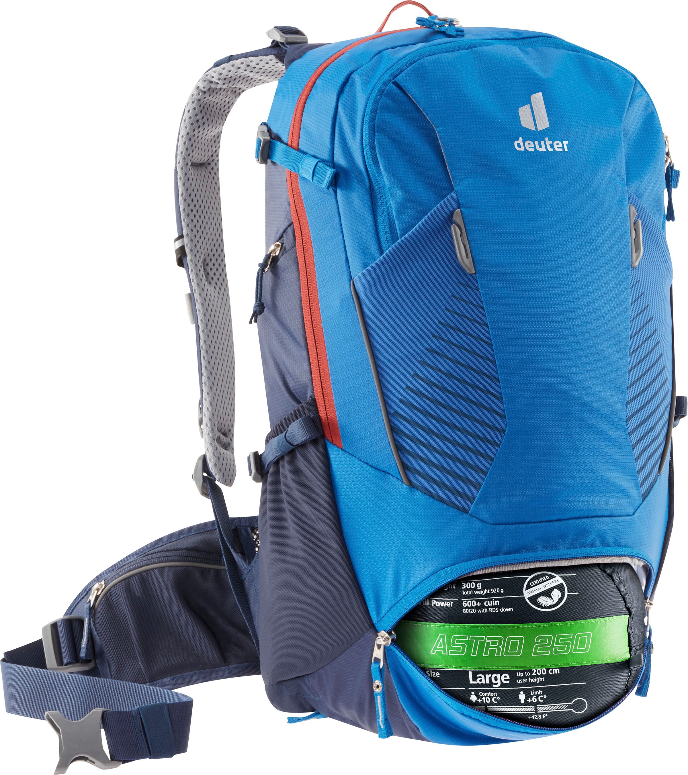 Image of deuter Fahrradrucksack »TRANS ALPINE 24« bei Ackermann Versand Schweiz