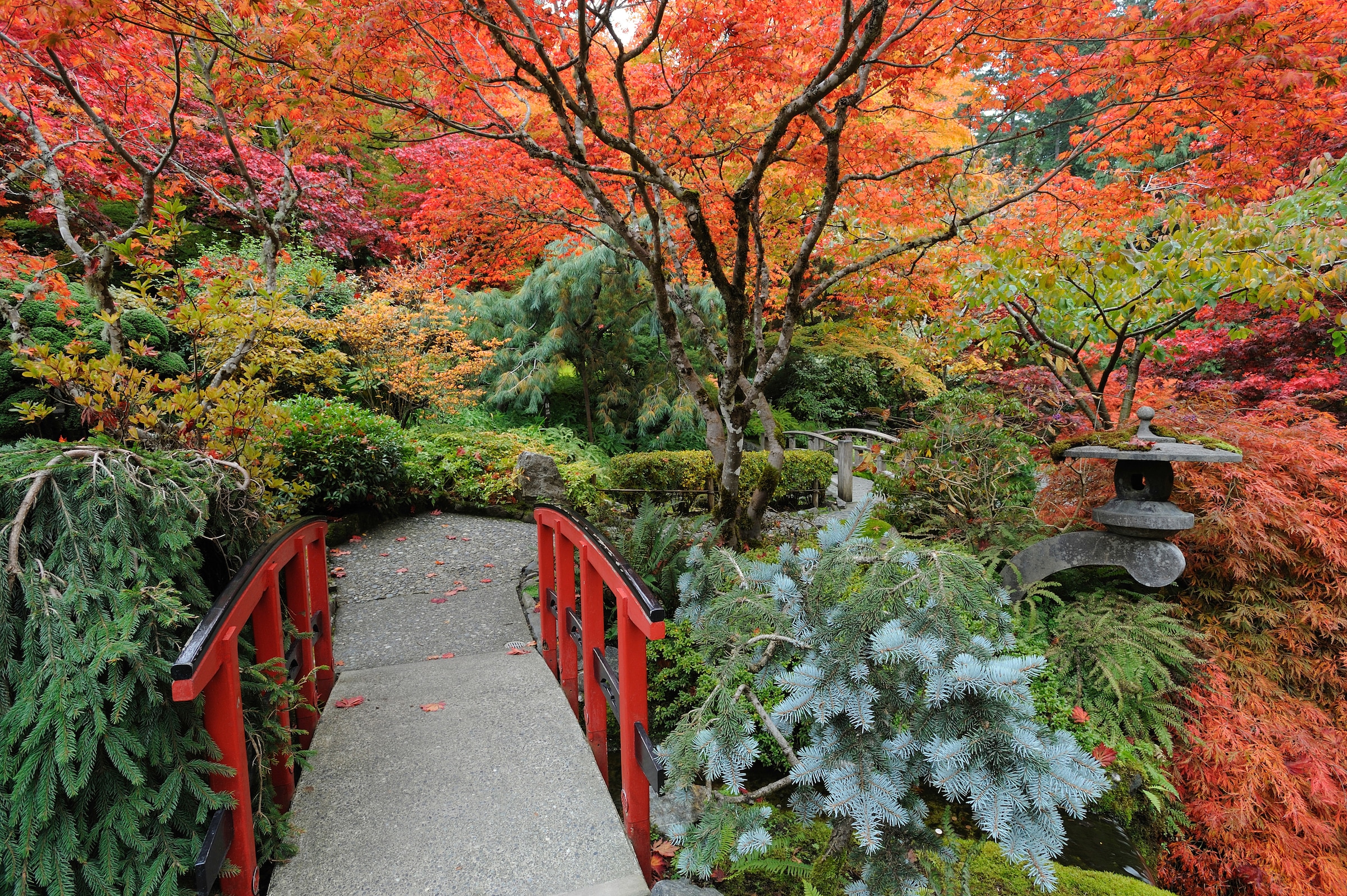 Image of Papermoon Fototapete "JAPANISCHER GARTEN HERBST"