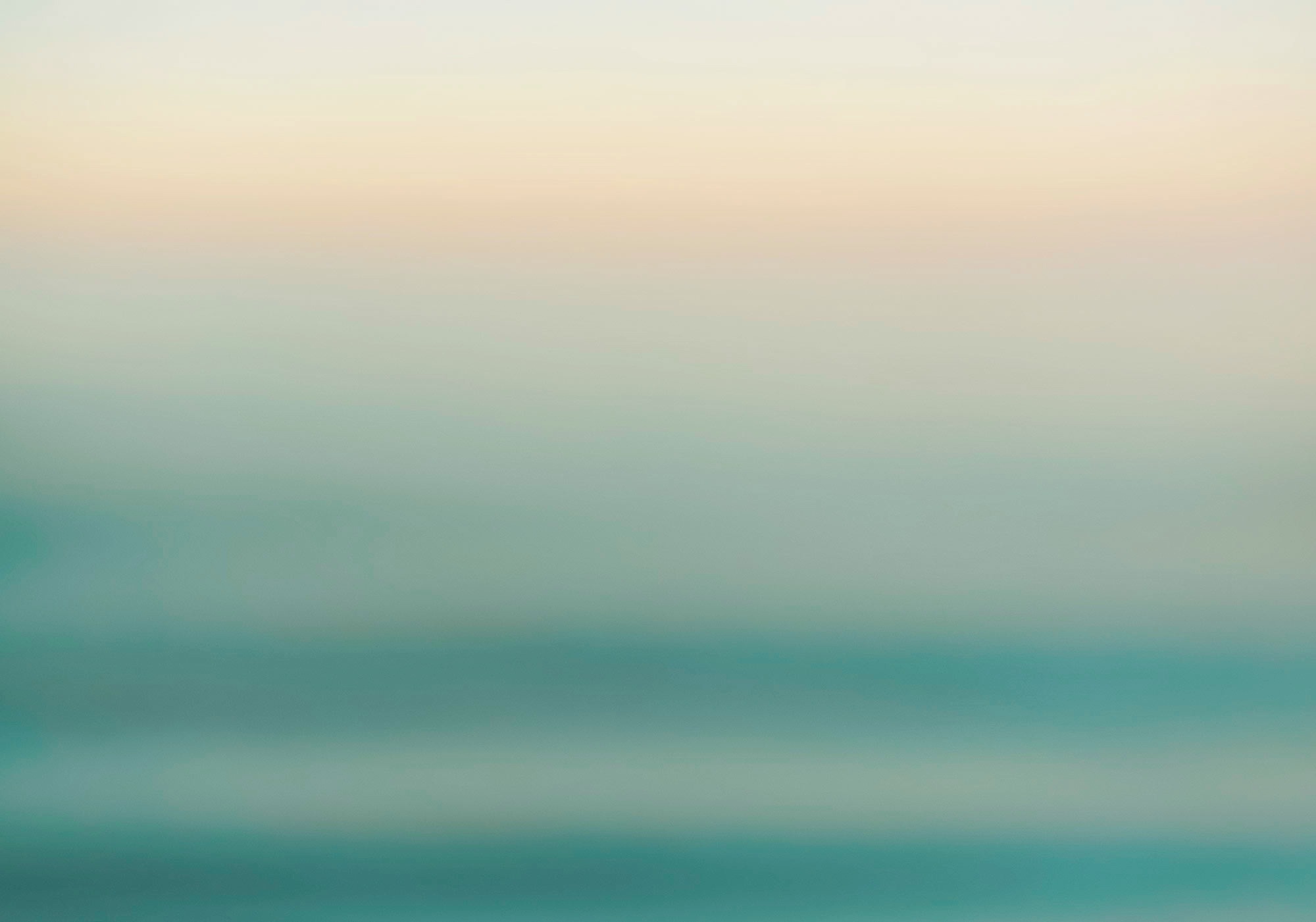 Image of Komar Fototapete »Vliestapete Ocean Sense«, bedruckt-geblümt-floral-realistisch, 400 x 280 cm bei Ackermann Versand Schweiz