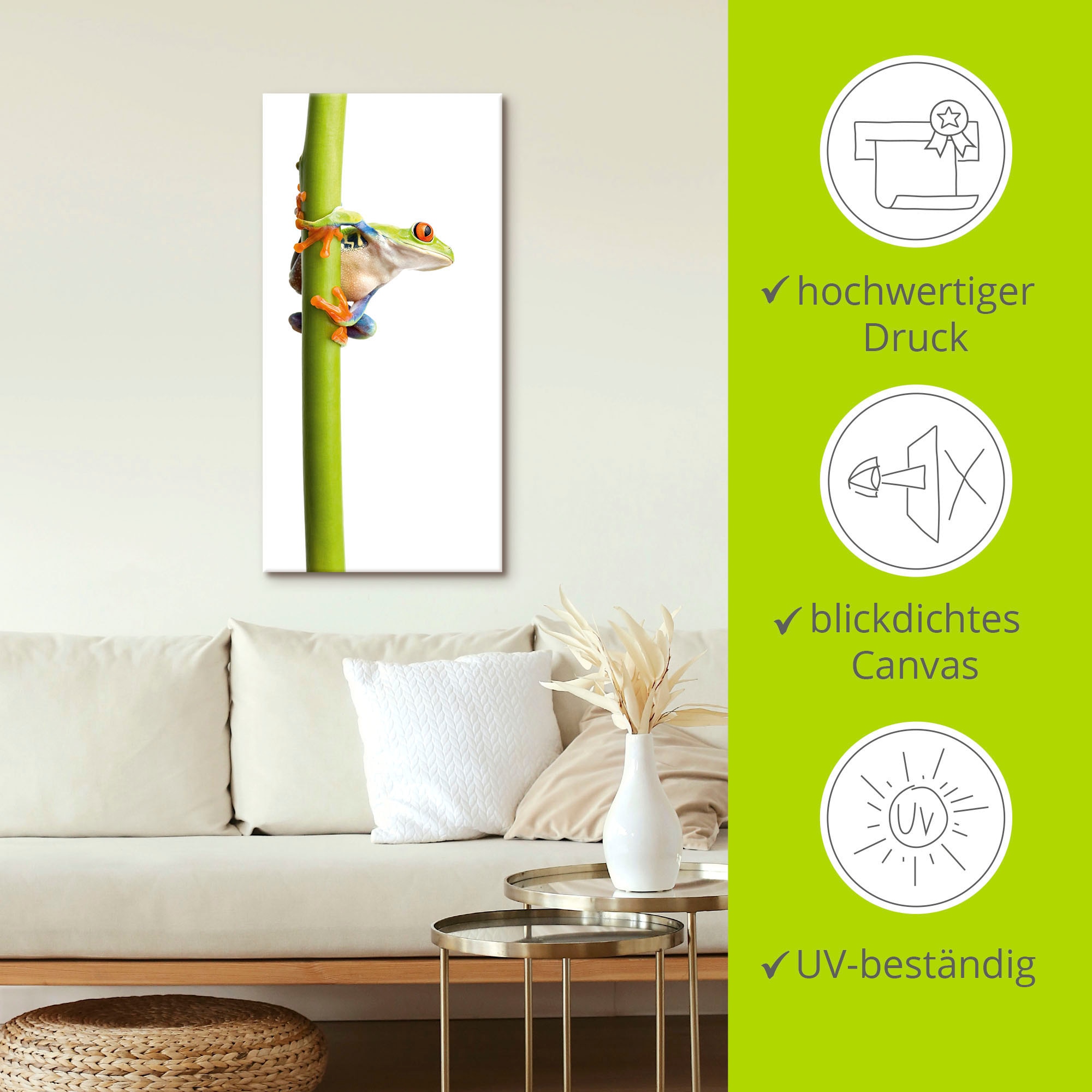 Artland Leinwandbild »Frosch umfasst einen Pflanzenstengel« Wassertiere 1 Stk. tlg. auf Holzrahmen gespannt