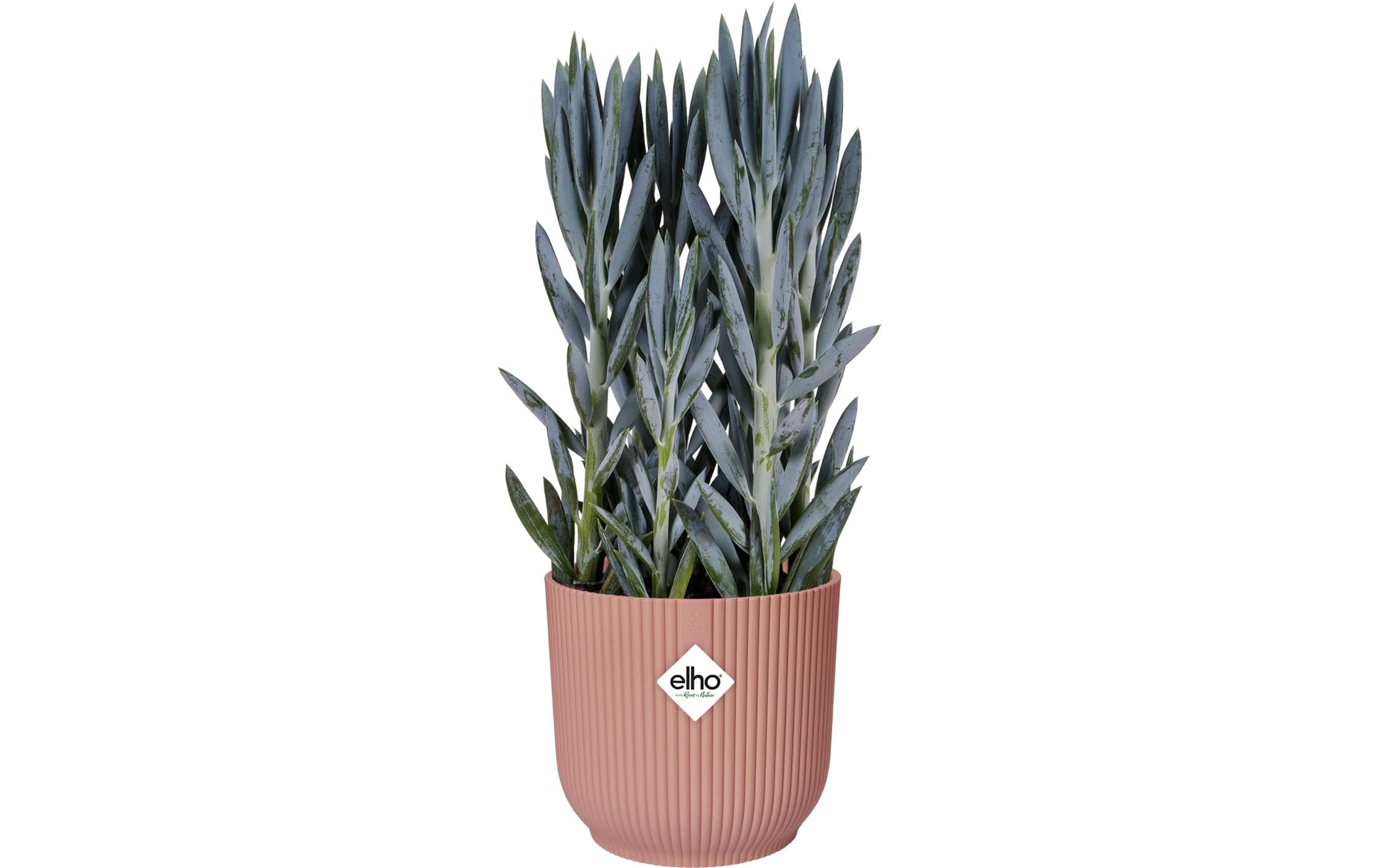 Elho Pot de fleurs »Vibes Fold Rund 30 cm«