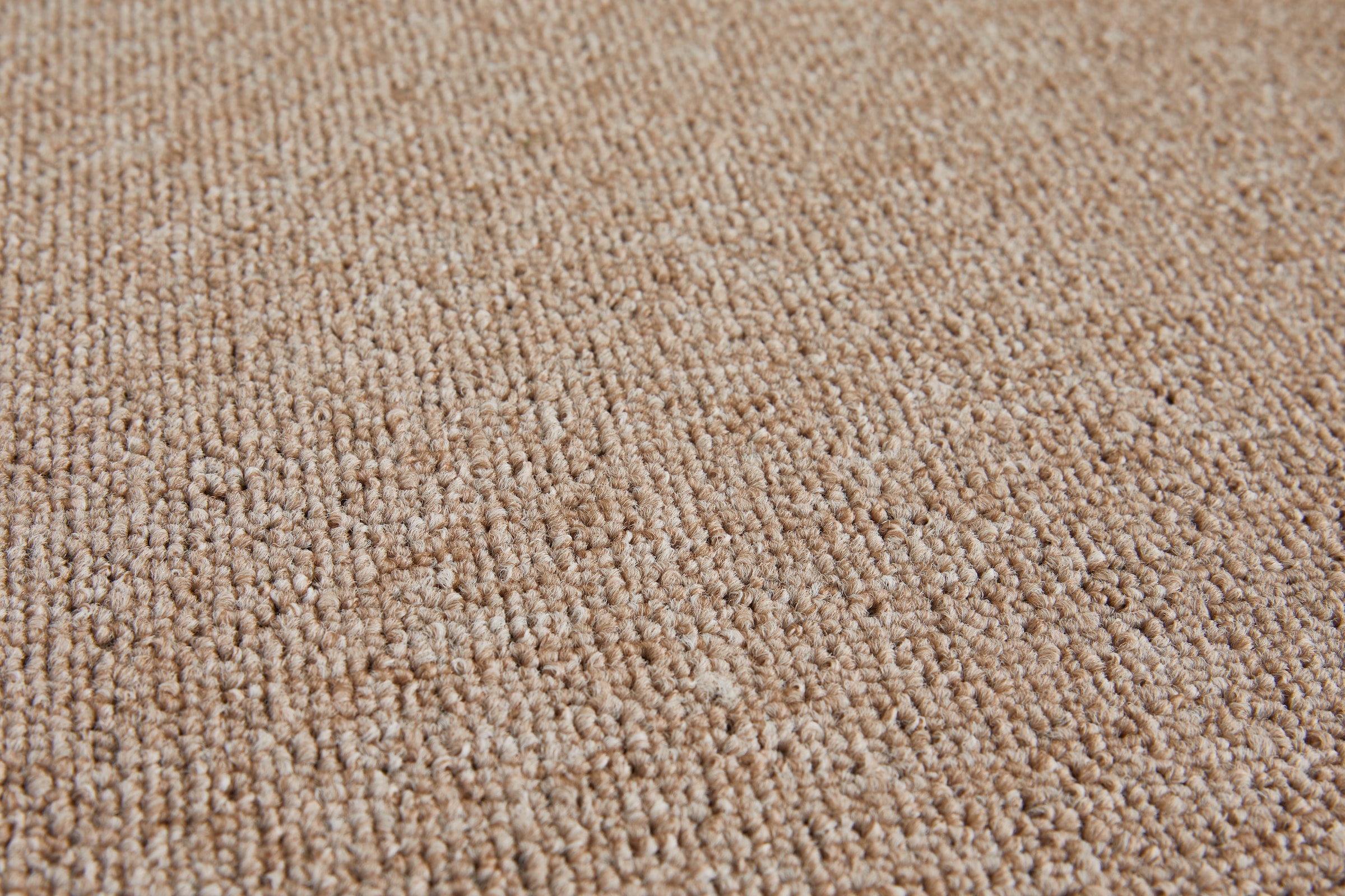 my home Teppichboden »Benno, Schlinge, Made in Netherlands«, rechteckig, 4,5 mm Höhe, Breite 200, 400 und 500 cm, robust, pflegeleicht, langlebig