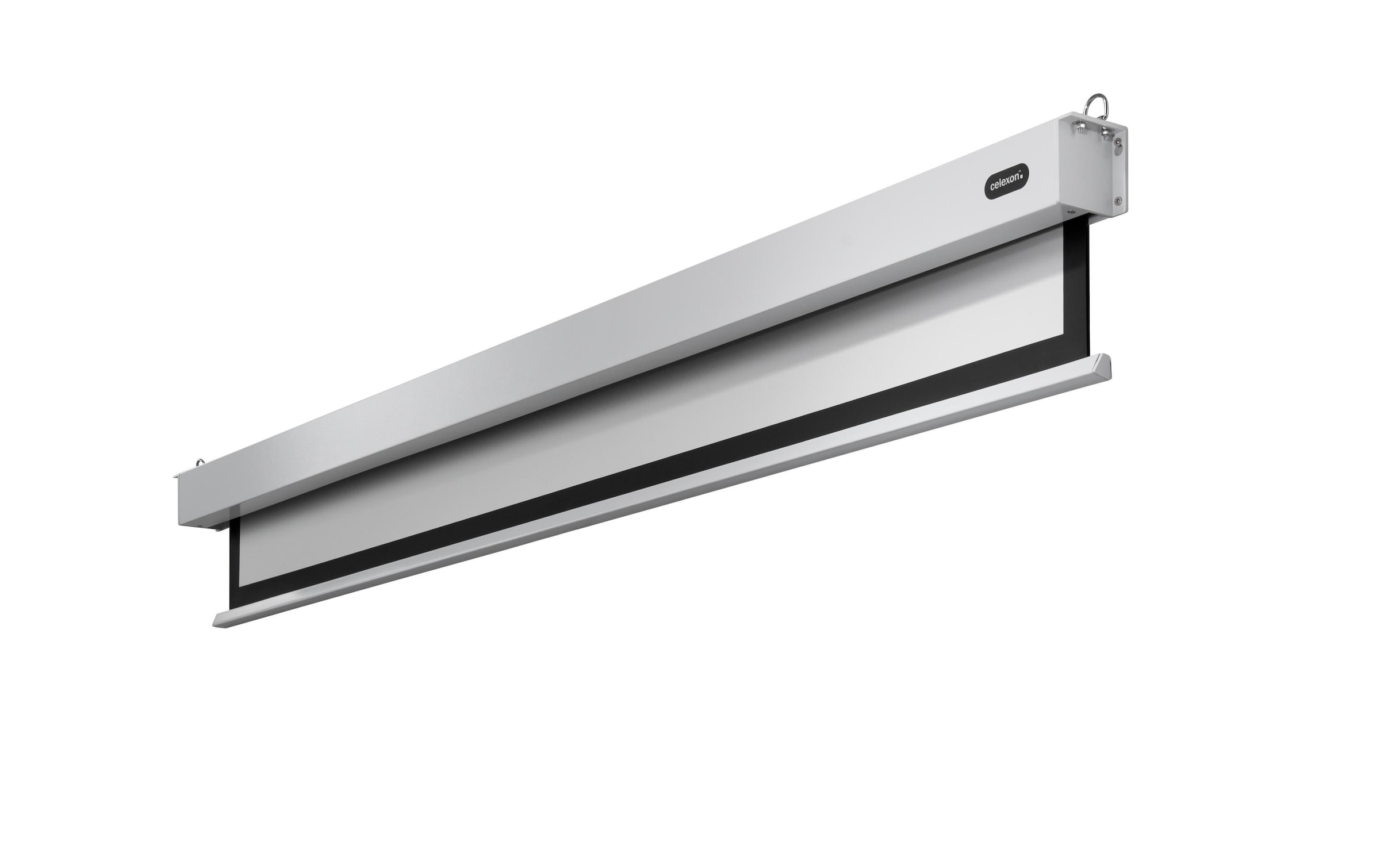 Celexon Motorleinwand »Pro Plus 240x150 cm«