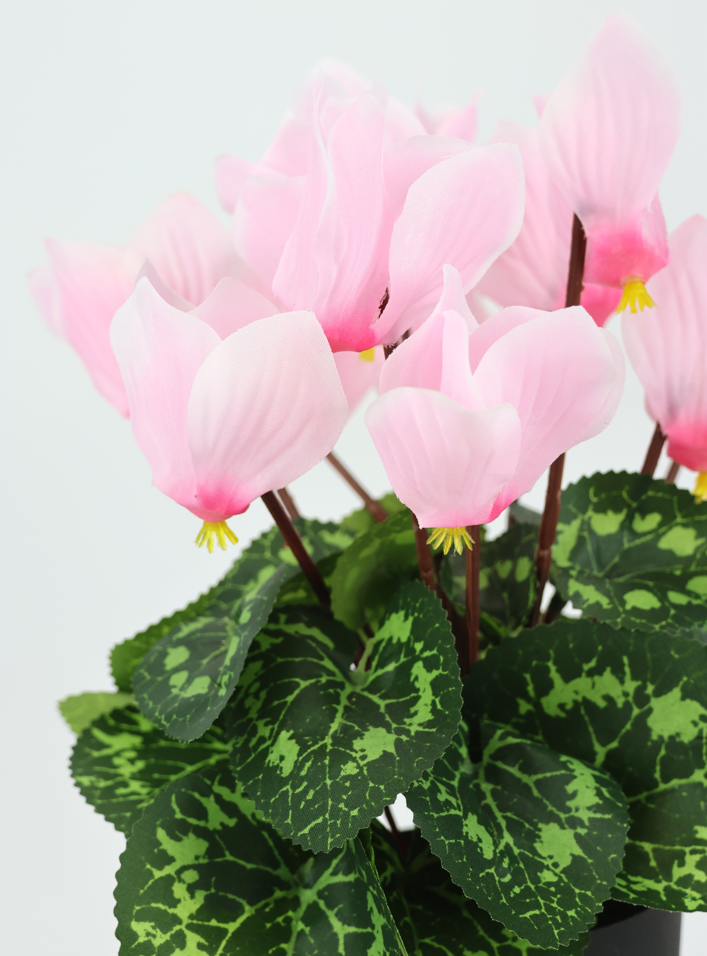 I.GE.A. Fleur artificielle »Alpenveilchen im Topf« Künstliche Blume  Dekopflanze Kunstpflanze Pflanze Primeln Seidenblume