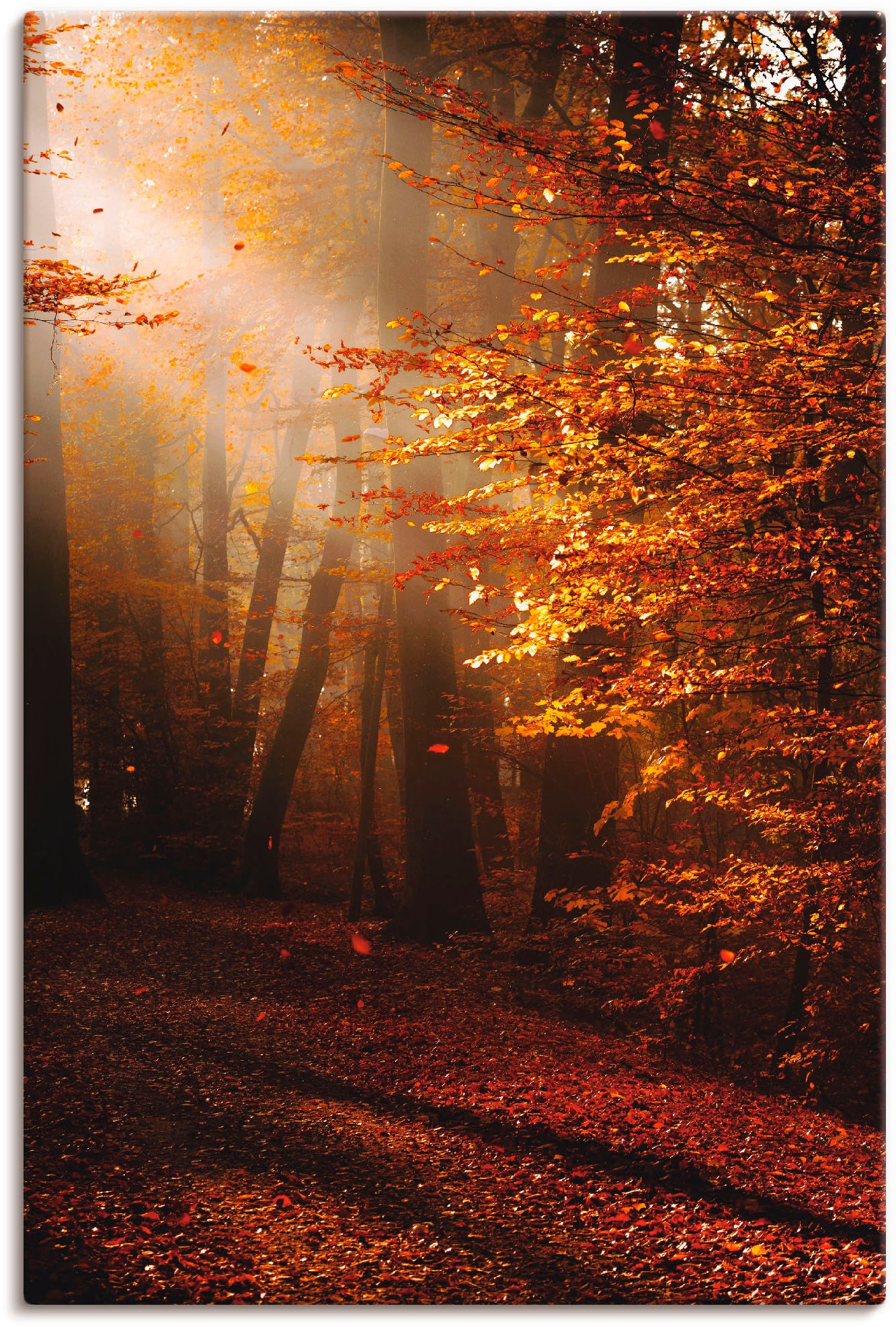 Image of Artland Wandbild »Sonnenaufgang im Herbst«, Wald, (1 St.), in vielen Grössen & Produktarten - Alubild / Outdoorbild für den Aussenbereich, Leinwandbild, Poster, Wandaufkleber / Wandtattoo auch für Badezimmer geeignet bei Ackermann Versand Schweiz