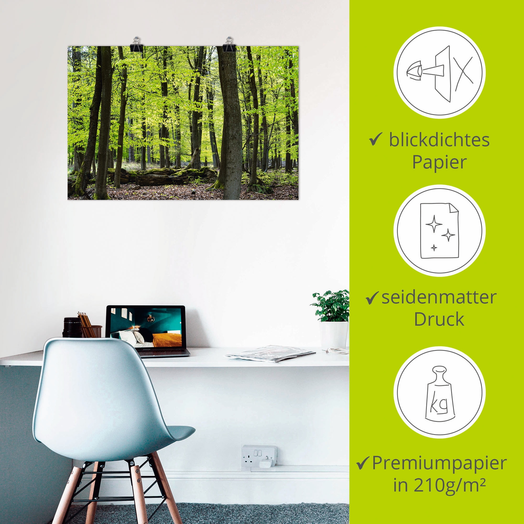 Artland Poster »Laubwald im Frühjahr«, Wald, (1 St.), als Alubild, Leinwandbild, Wandaufkleber oder Poster in versch. Grössen