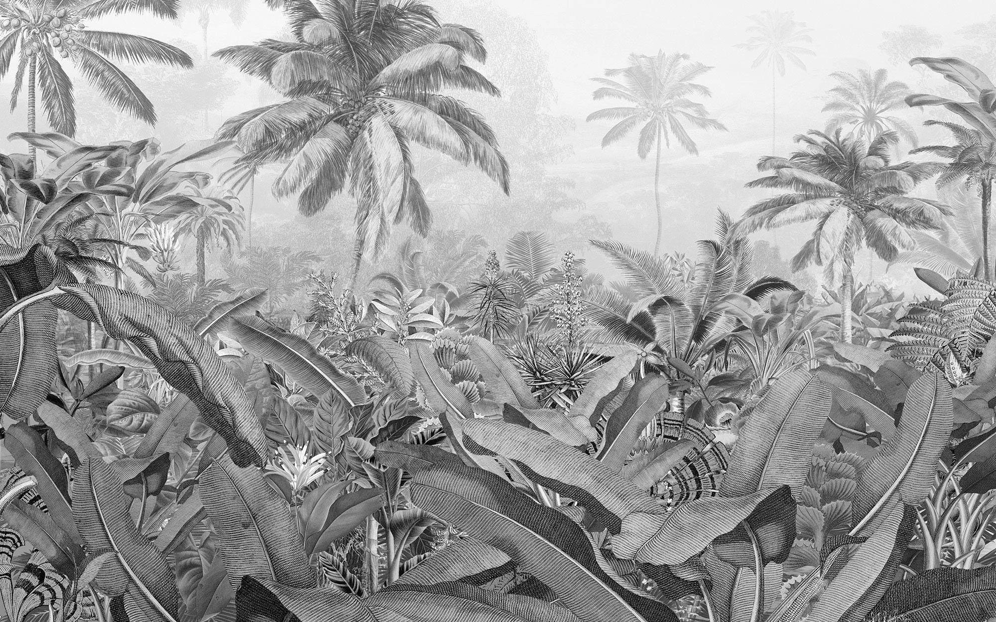 Image of Komar Vliestapete »Pure Amazonia Black and«, naturalistisch bei Ackermann Versand Schweiz