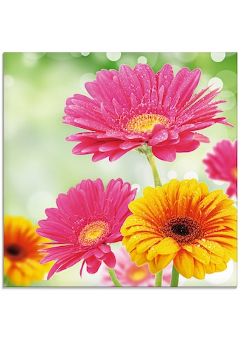 Glasbild »Natürliche Romantik - Gerberas«, Blumen, (1 St.)