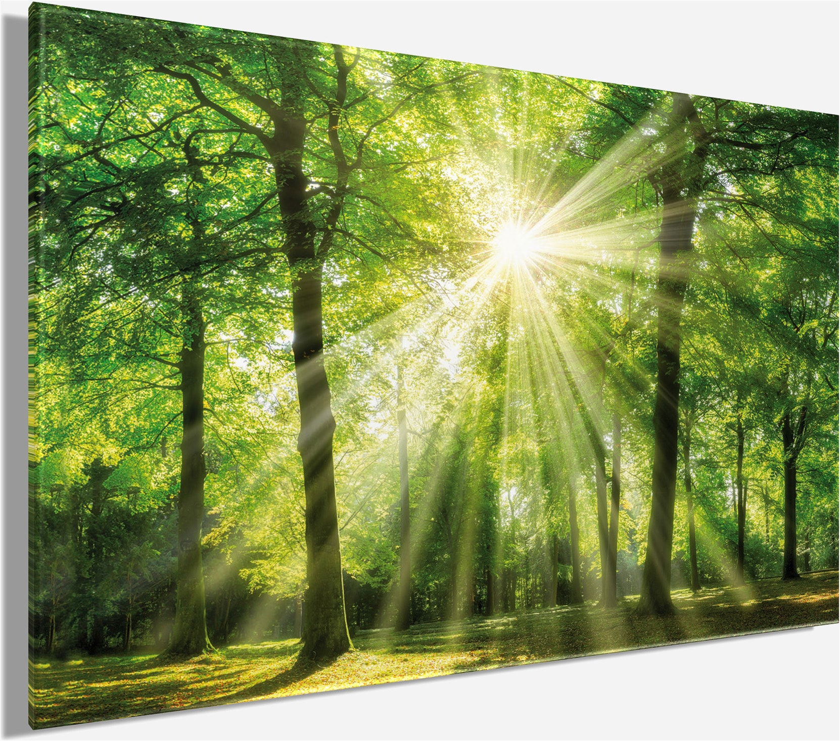 Bönninghoff Leinwandbild »Wandbild WALD  – Leinwandbild Keilrahmen« Natur | Wald | Wiesen & Bäume 1 Stk. tlg. auf Keilrahmen gespannt