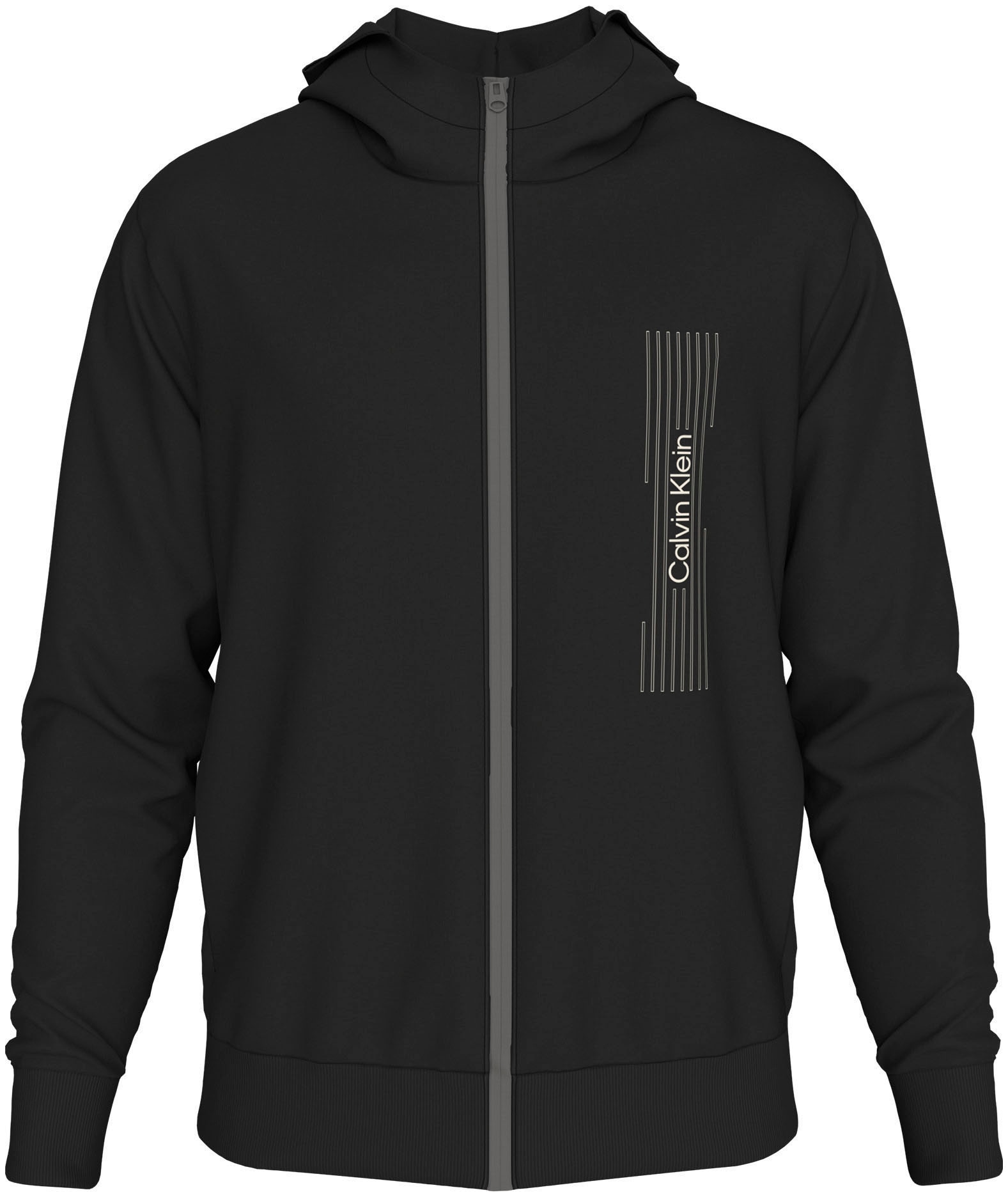 Sweatshirt »BT_HORIZONTAL LOGO ZIP HOODIE«, in Grossen Grössen mit Logoschriftzug