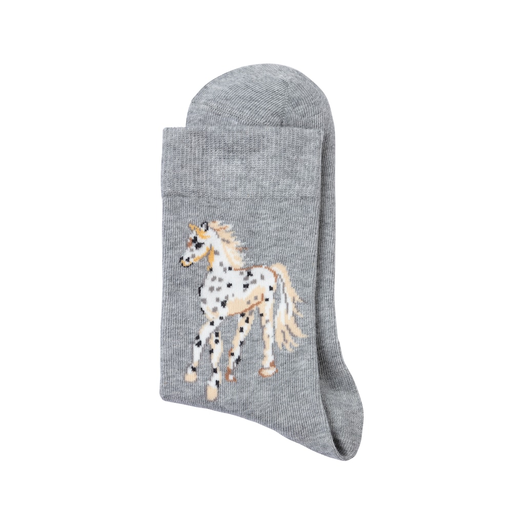 H.I.S Socken, (5 Paar)