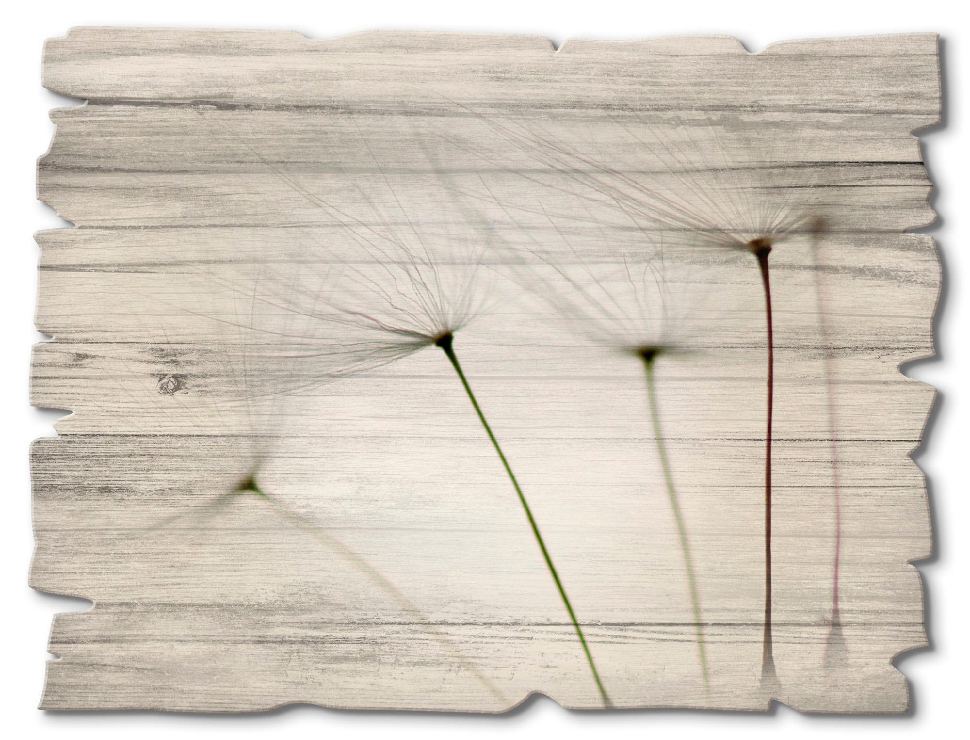 Image of Artland Holzbild "Pusteblumen-Samen I" Blumen 1 Stk. tlg.