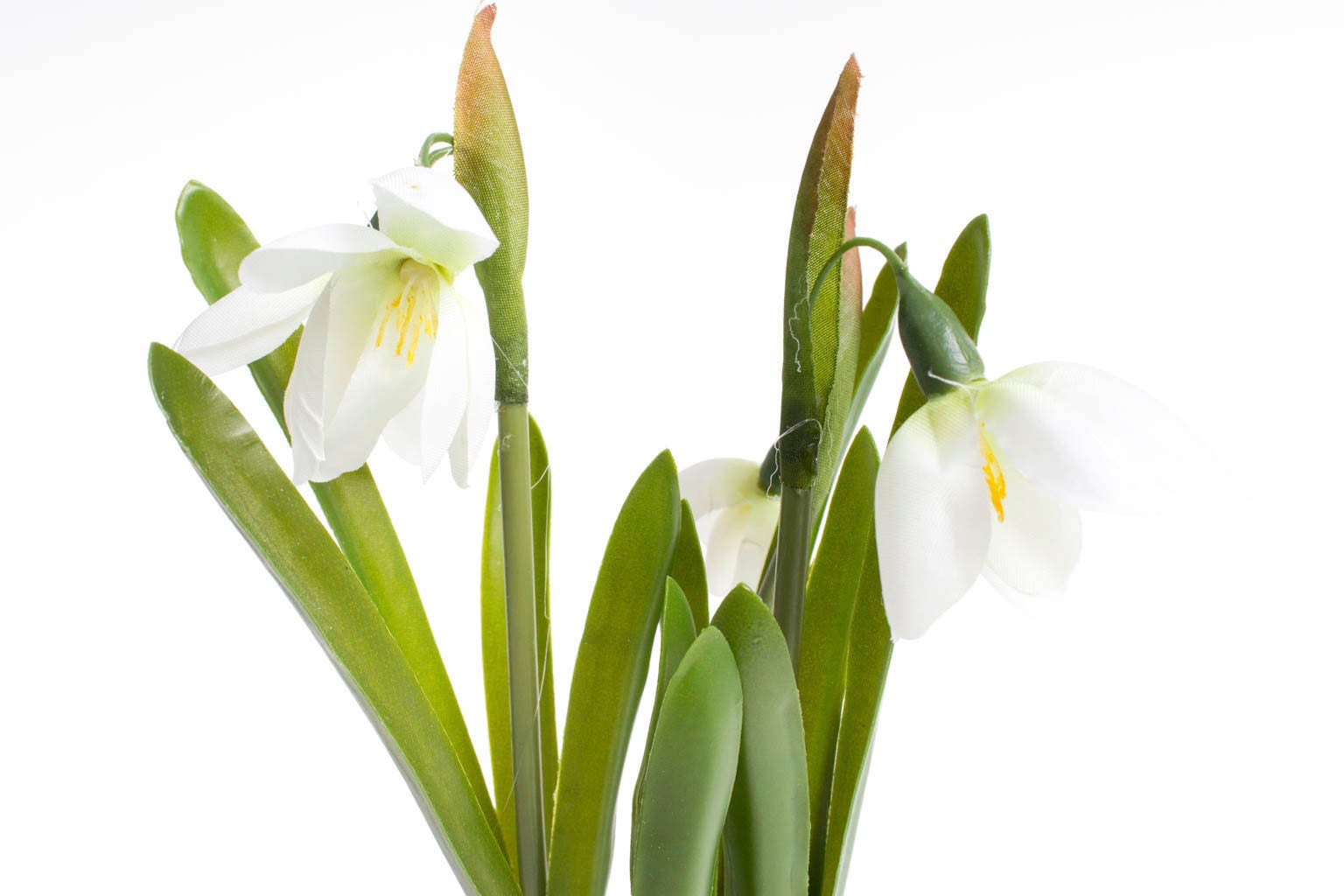 Botanic-Haus Kunstblume »Schneeglöckchen im Glas«