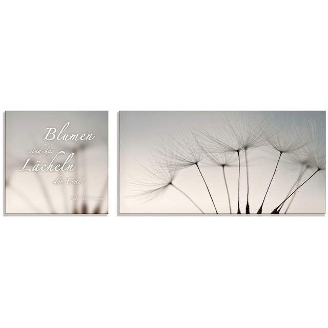 Artland Glasbild »Zitatenbild, Pusteblumen-Samen«, Sprüche & Texte, (2 St.),  in verschiedenen Grössen bequem kaufen
