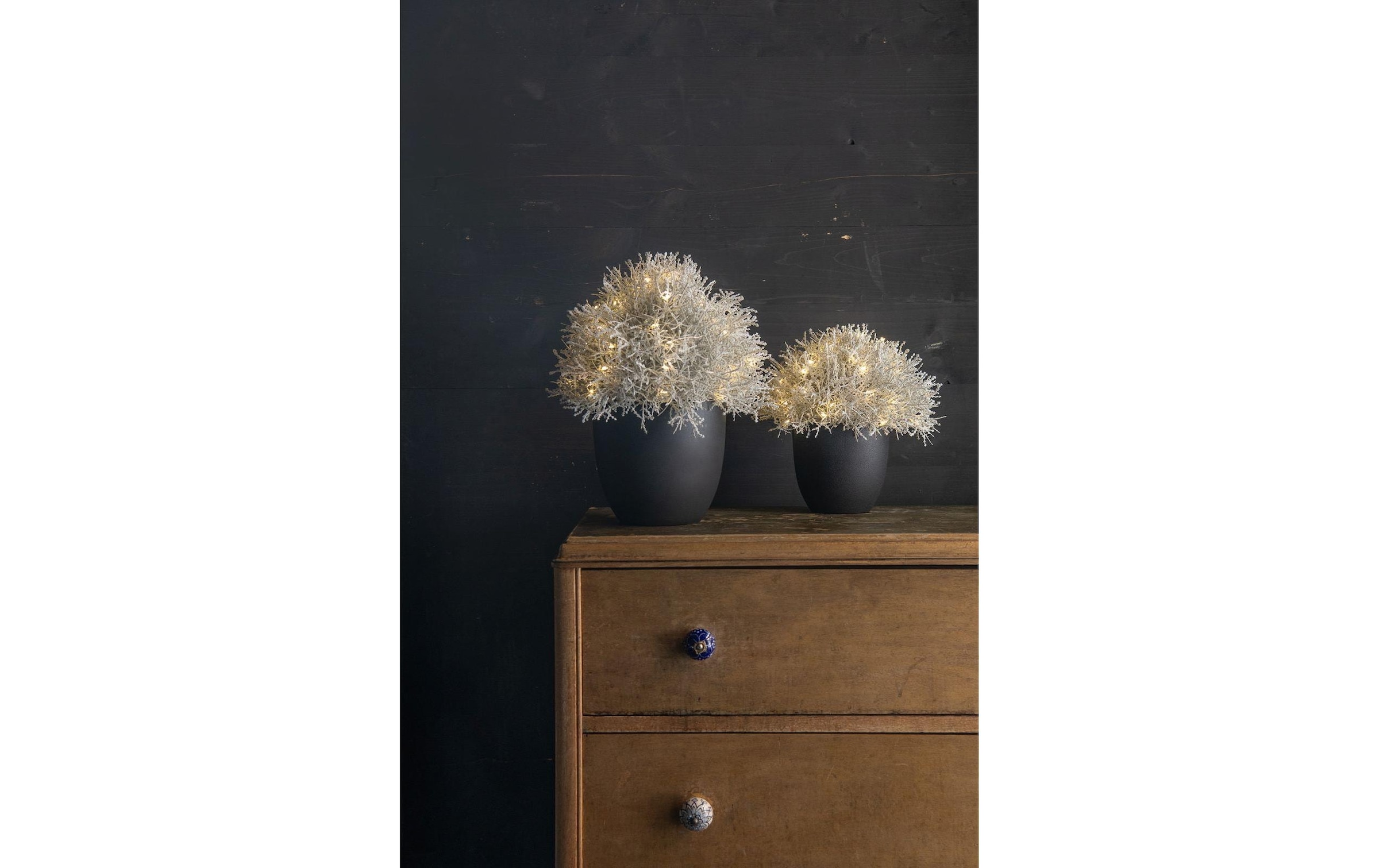 STT Arbre LED »Calo 35«