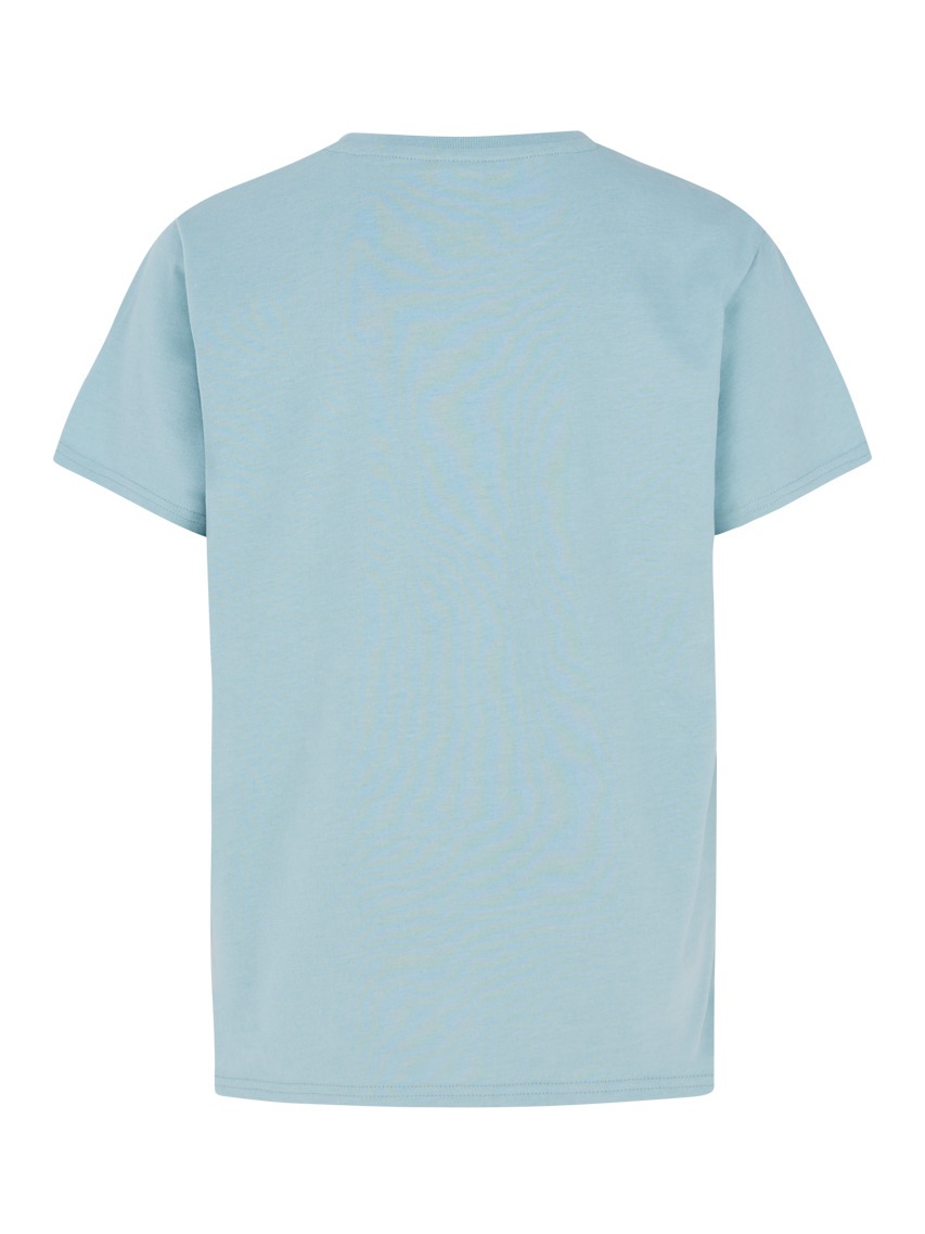 Protest T-shirt »T-SHIRT PRTFINCE JR«