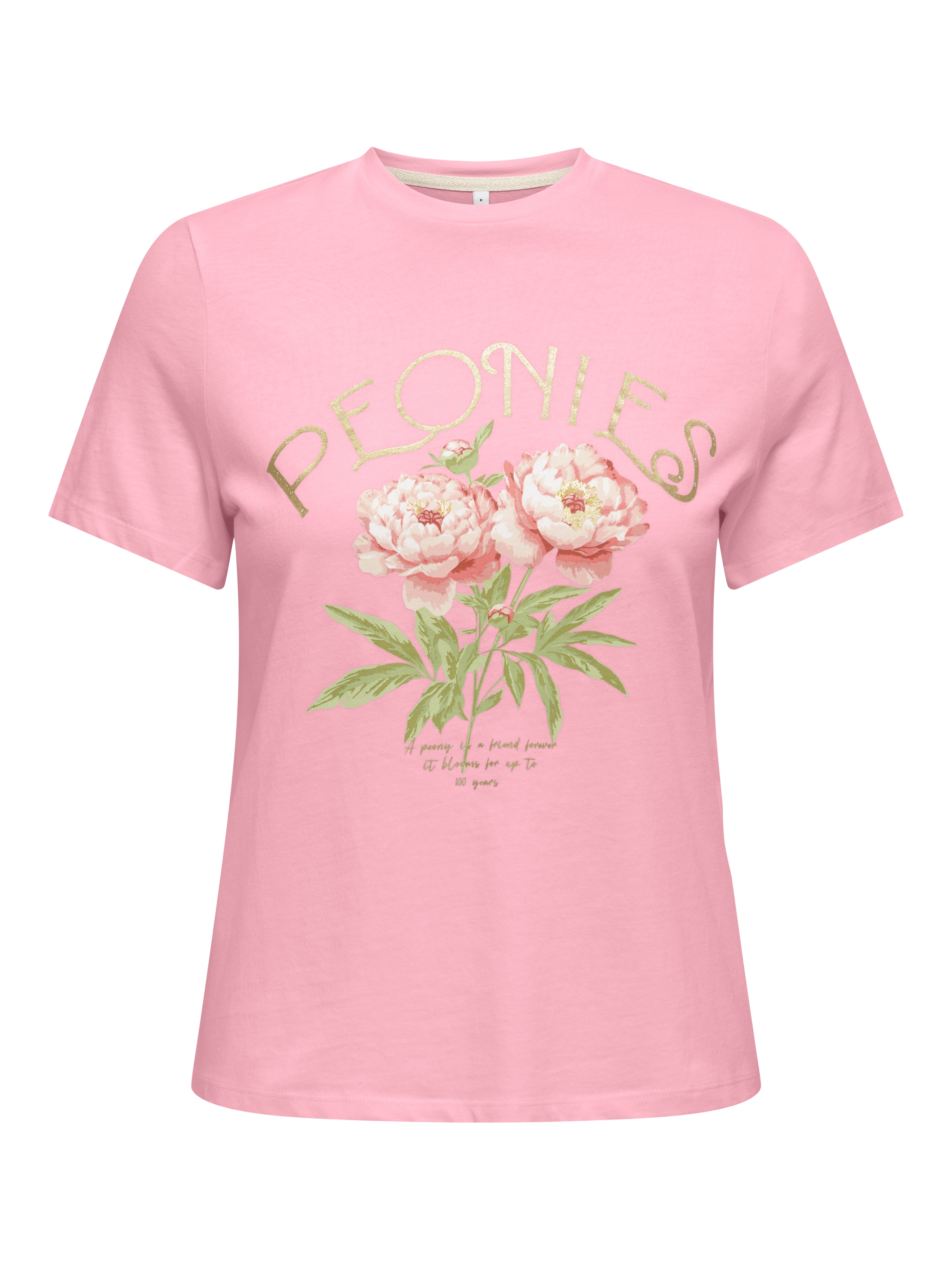 ONLY T-shirt à manches courtes »ONLAMBERDINE S/S PRINT TOP BOX JRS« coton, coupe régulière, col rond