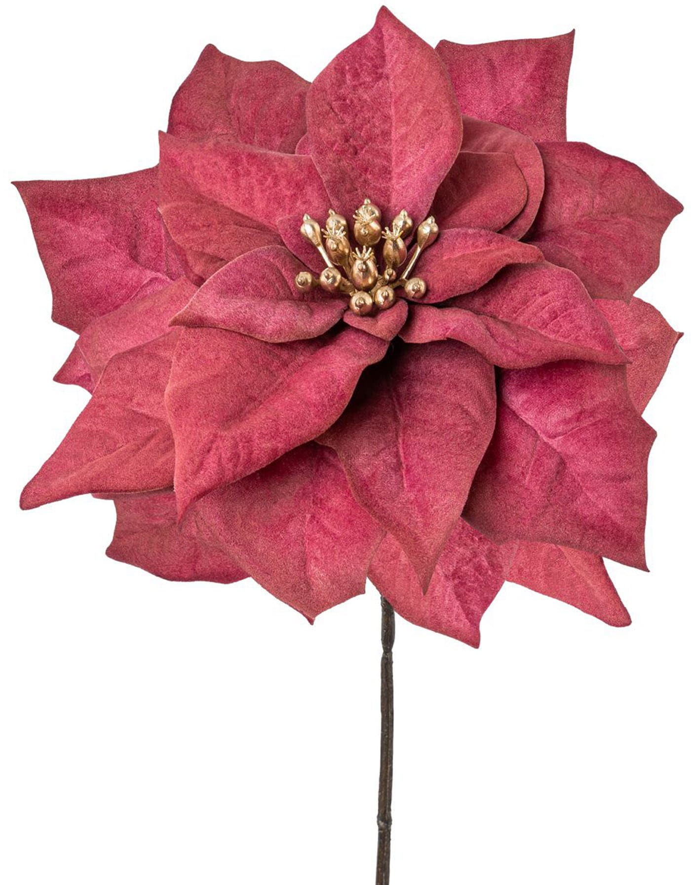 Creativ green Winterliche »Weihnachtsdeko Kunstpflanze rot«, goldfarbenfarbenem Blütenkelch, kaufen 6er-Set mit