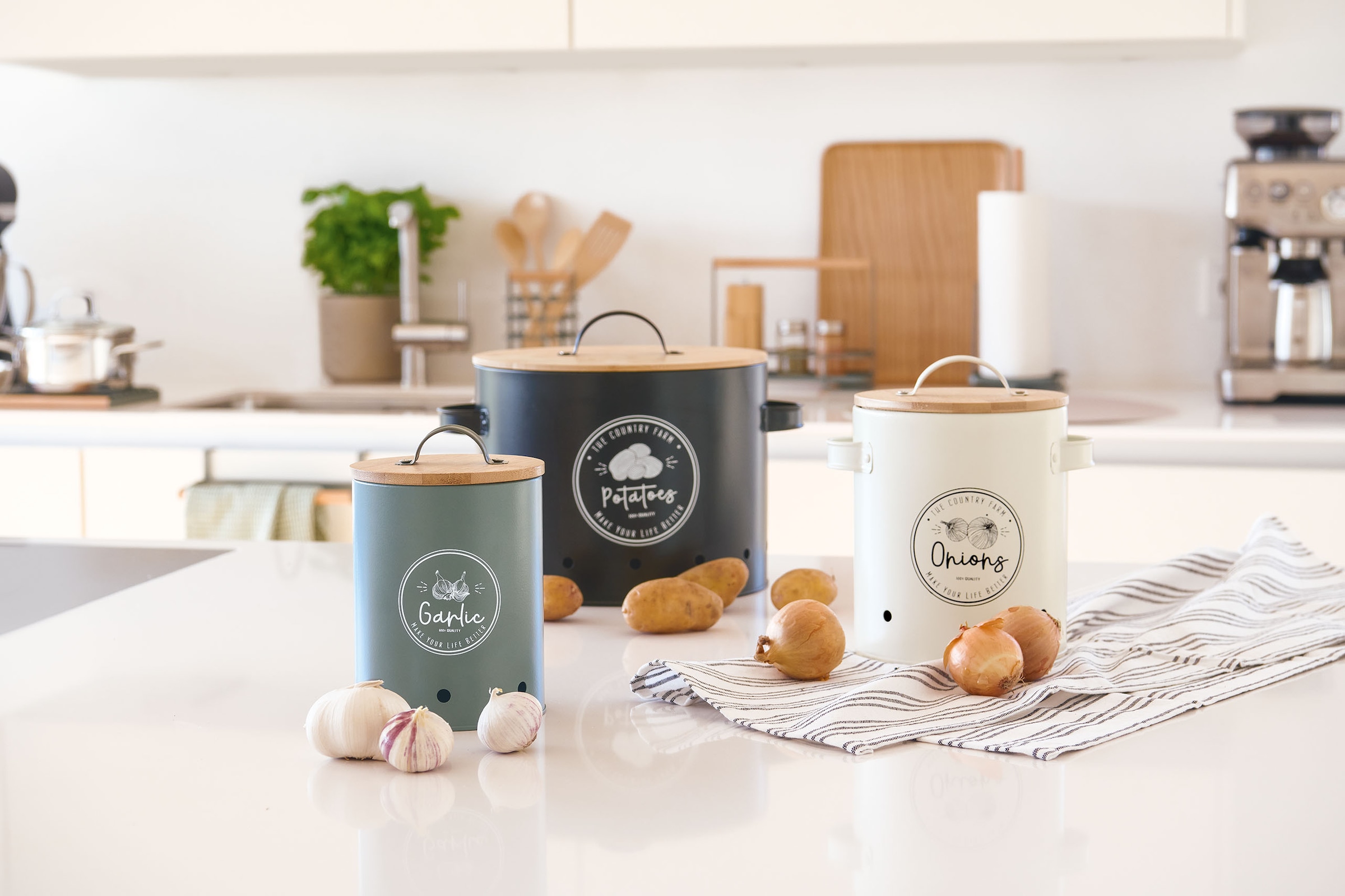 Zeller Present Vorratsdose »Retro« Set, 3 Stk. tlg.