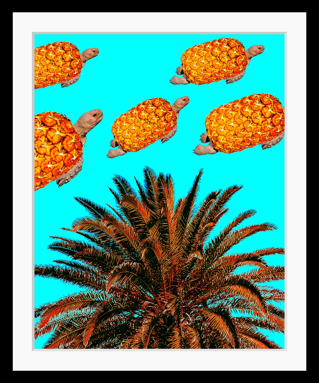 Image of queence Bild "Carla" Ananas Palmen Schildkröten Tiere Wassertiere HD Premium Poster-Druck inkl. Holzrahmen