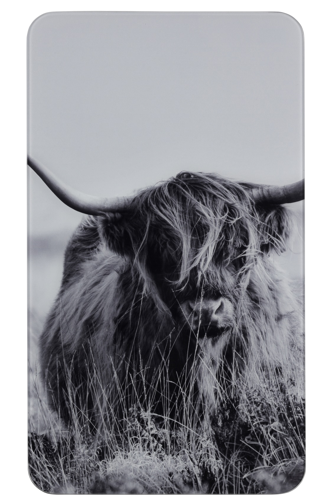 WENKO Herd-Abdeckplatte »Universal Modell Highland Cattle«, (Set, 2 tlg.), Herdabdeckung für alle Herdarten, kratzfest, mit rutschfesten Füssen