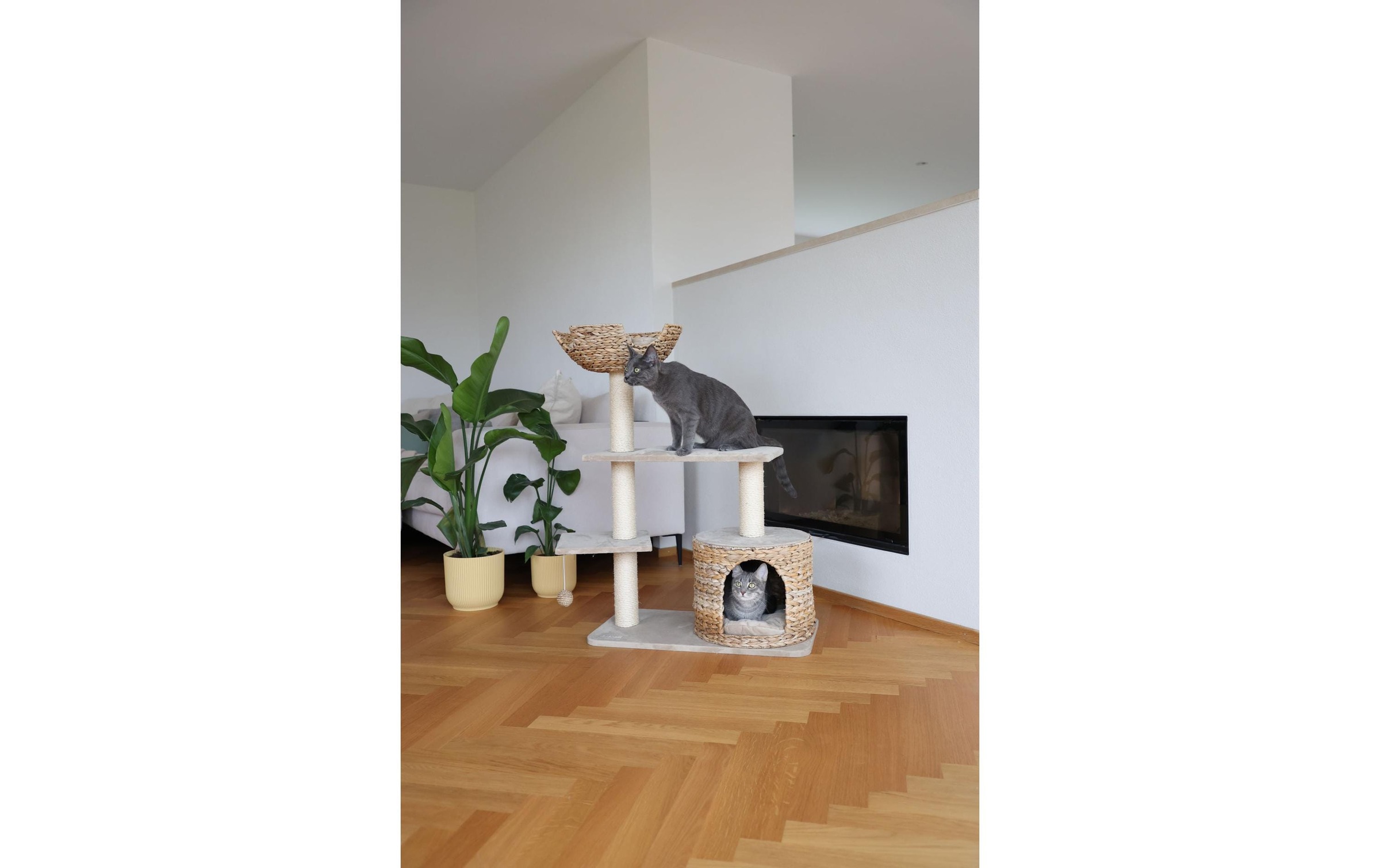Kerbl Kratzbaum »Banana Leaf Jade 70 cm x 38 cm x 102 cm«, hoch