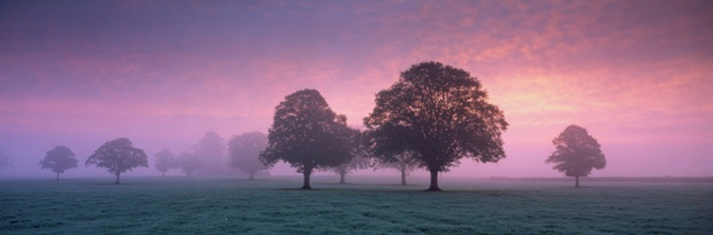 Image of Home affaire Leinwandbild »Abendnebel«, 160/55 cm bei Ackermann Versand Schweiz