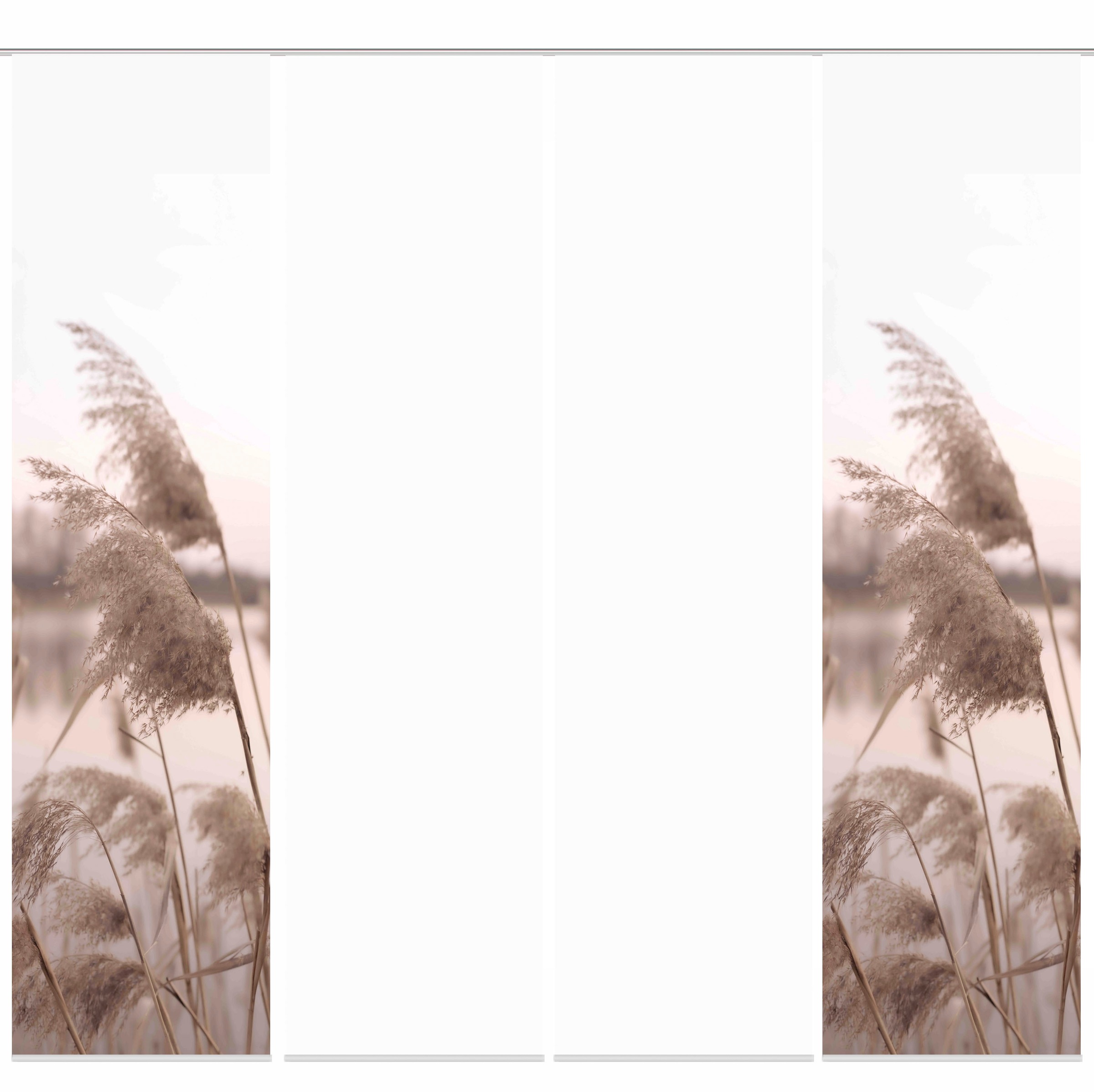 Image of HOME WOHNIDEEN Schiebegardine »TRAWY«, (4 St.), Schiebevorhang Digi 4er Set TRAWY bei Ackermann Versand Schweiz